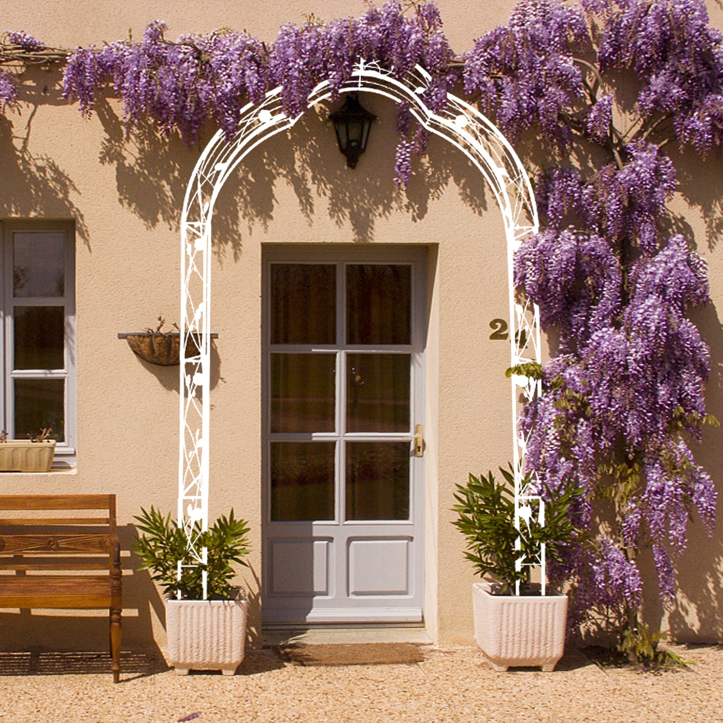 White metal garden arch entwined with flowering wisteria framing a doorway for a charming entrance