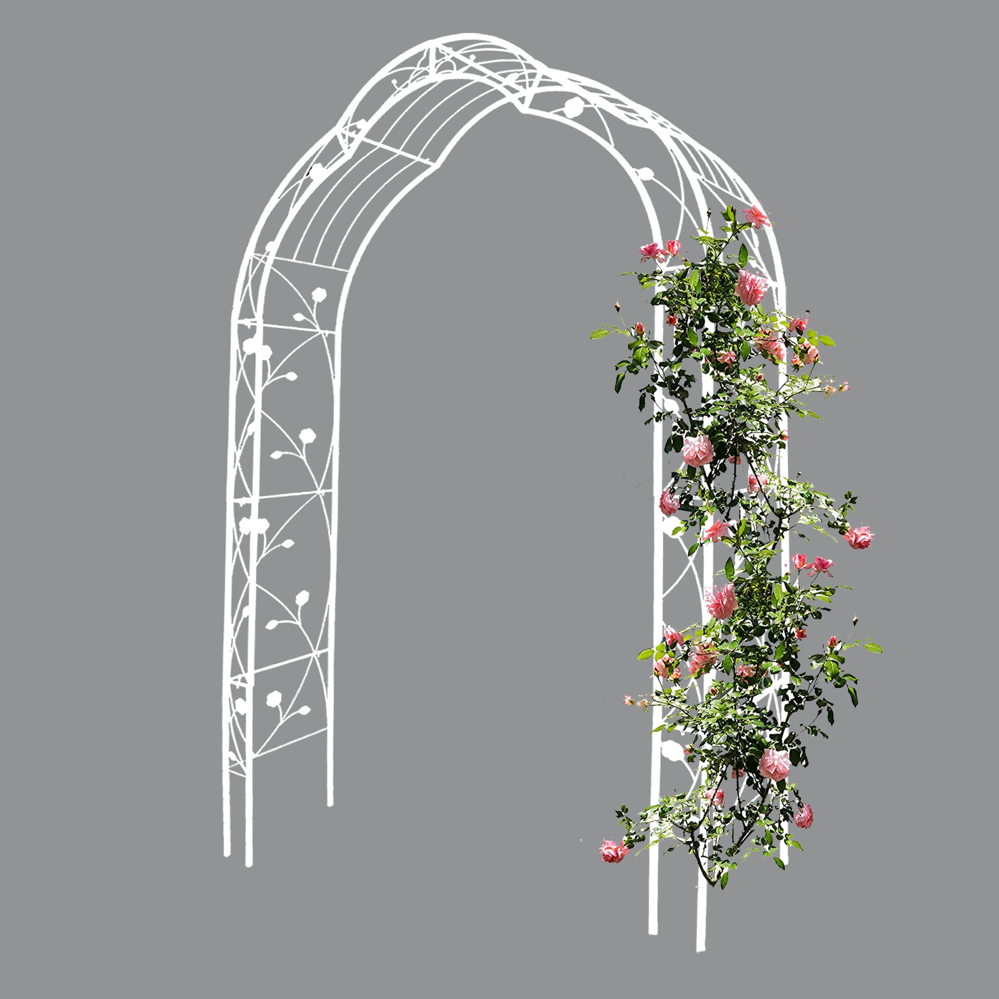 White metal garden arch with climbing pink roses ideal for entrances