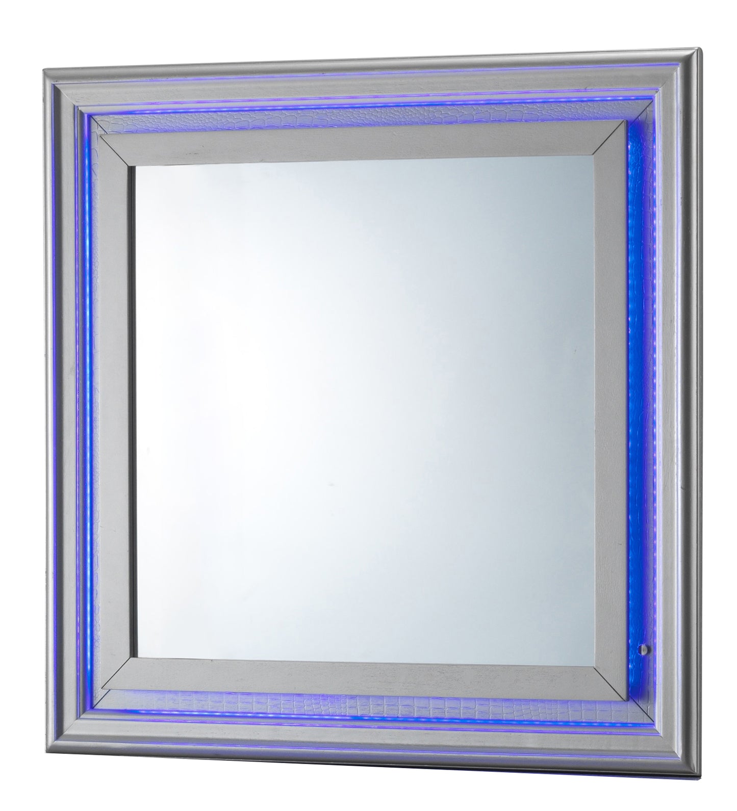 TREATLIFE HOME LED Accent Mirror with Textured Croc Finish, Low Distortion Glass, Stylish Silver Champagne Design