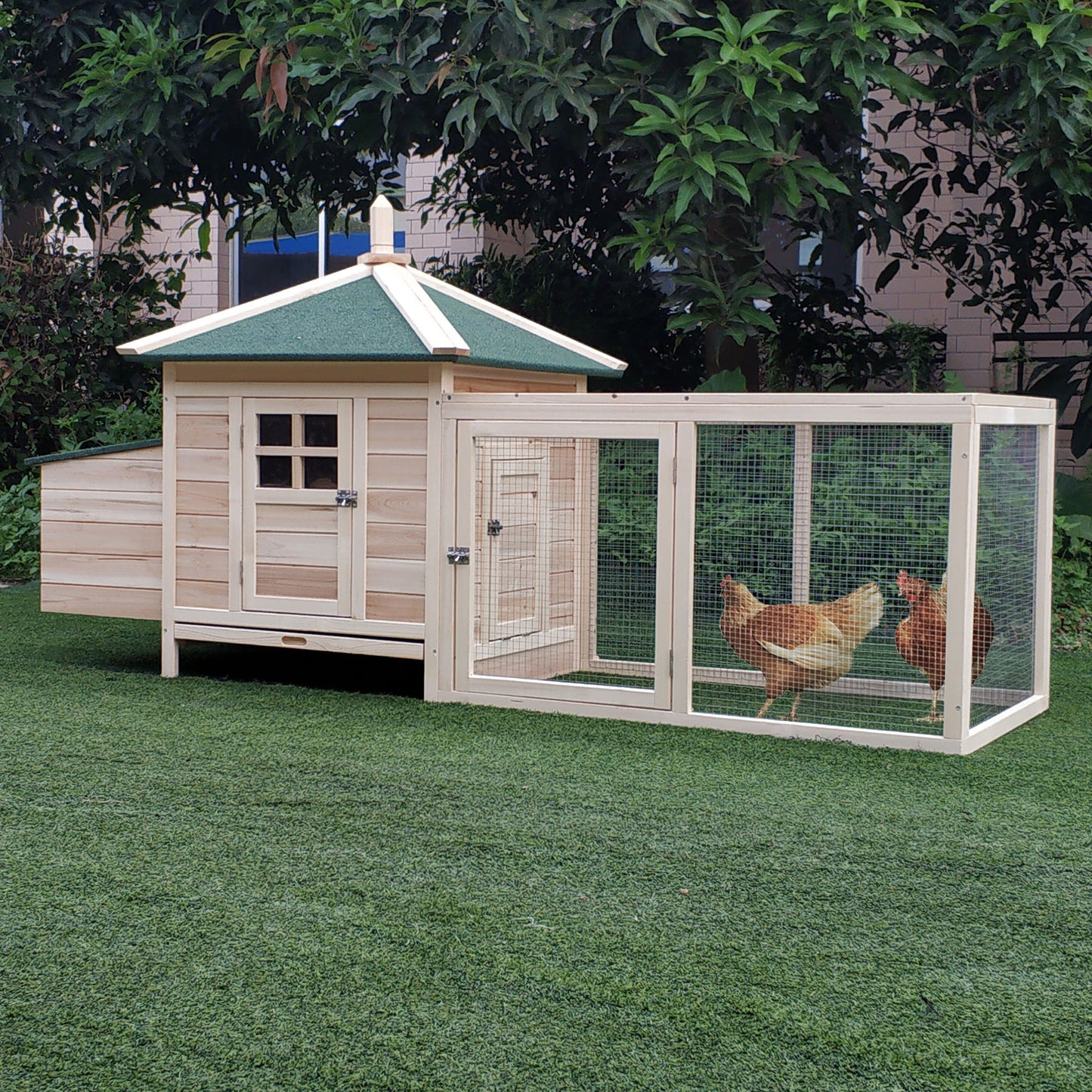 Two brown hens in a wooden chicken coop with an attached run