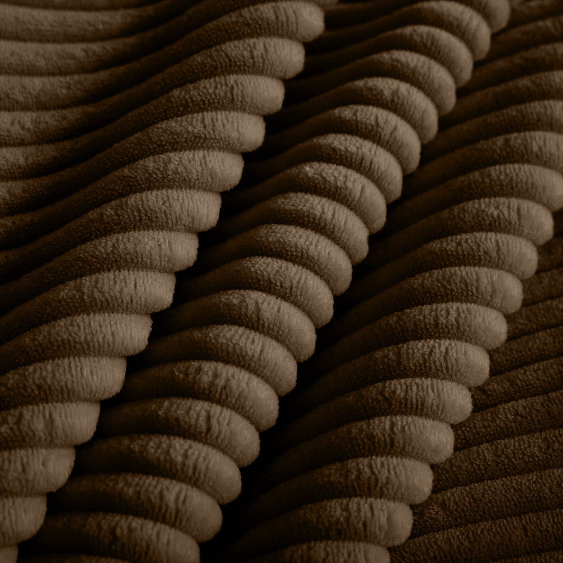 Closeup of luxurious brown wide wale corduroy fabric texture
