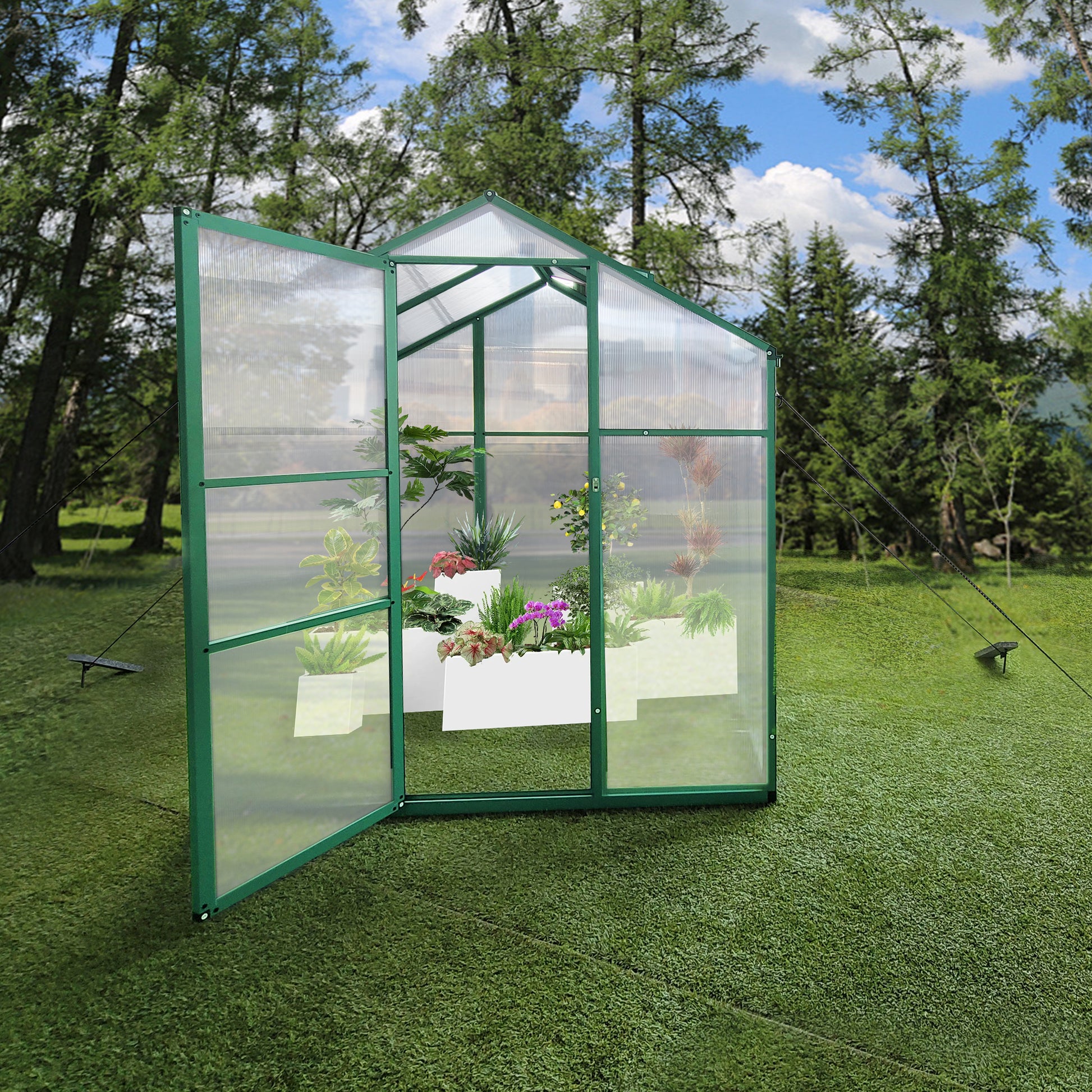 Green metal frame polycarbonate greenhouse filled with diverse plants and white planters