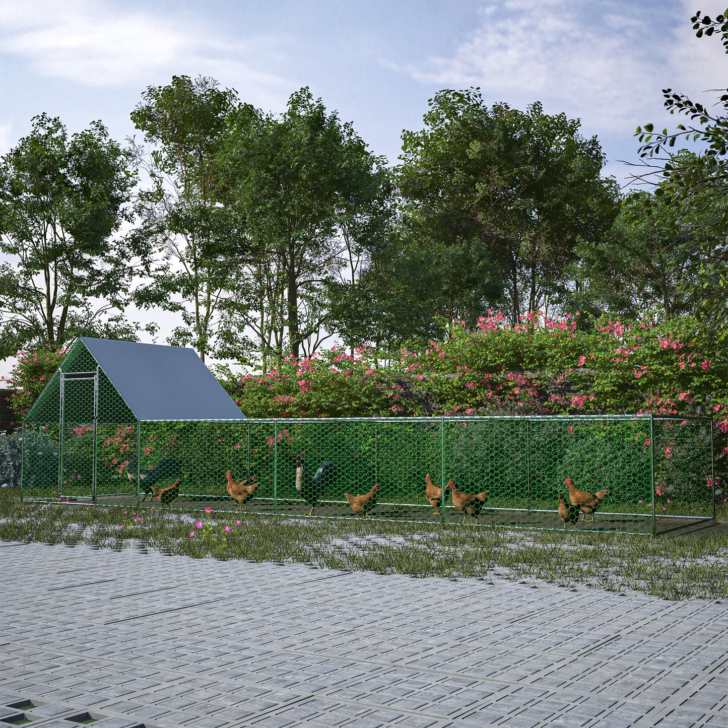 Large backyard chicken coop with multiple chickens roaming freely on grass