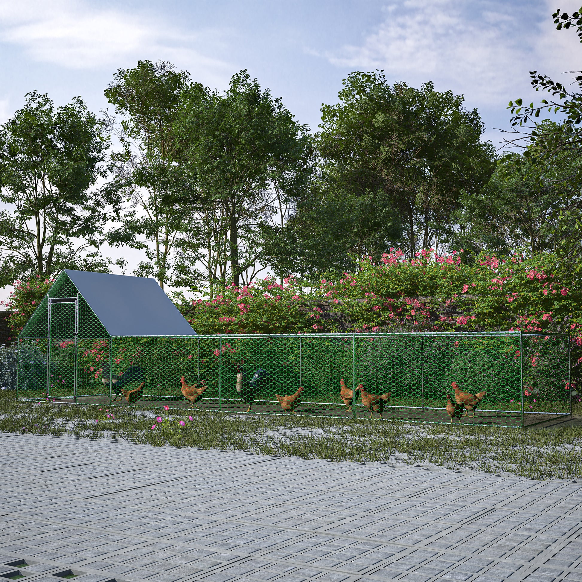 Large backyard chicken coop with multiple chickens roaming freely on grass