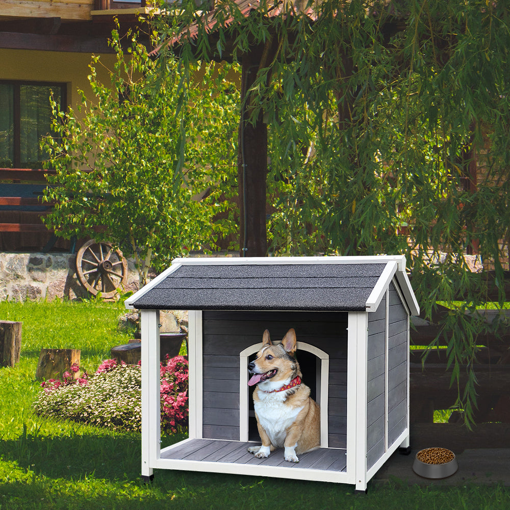 Wooden dog house with a happy Corgi sitting inside outdoor setting