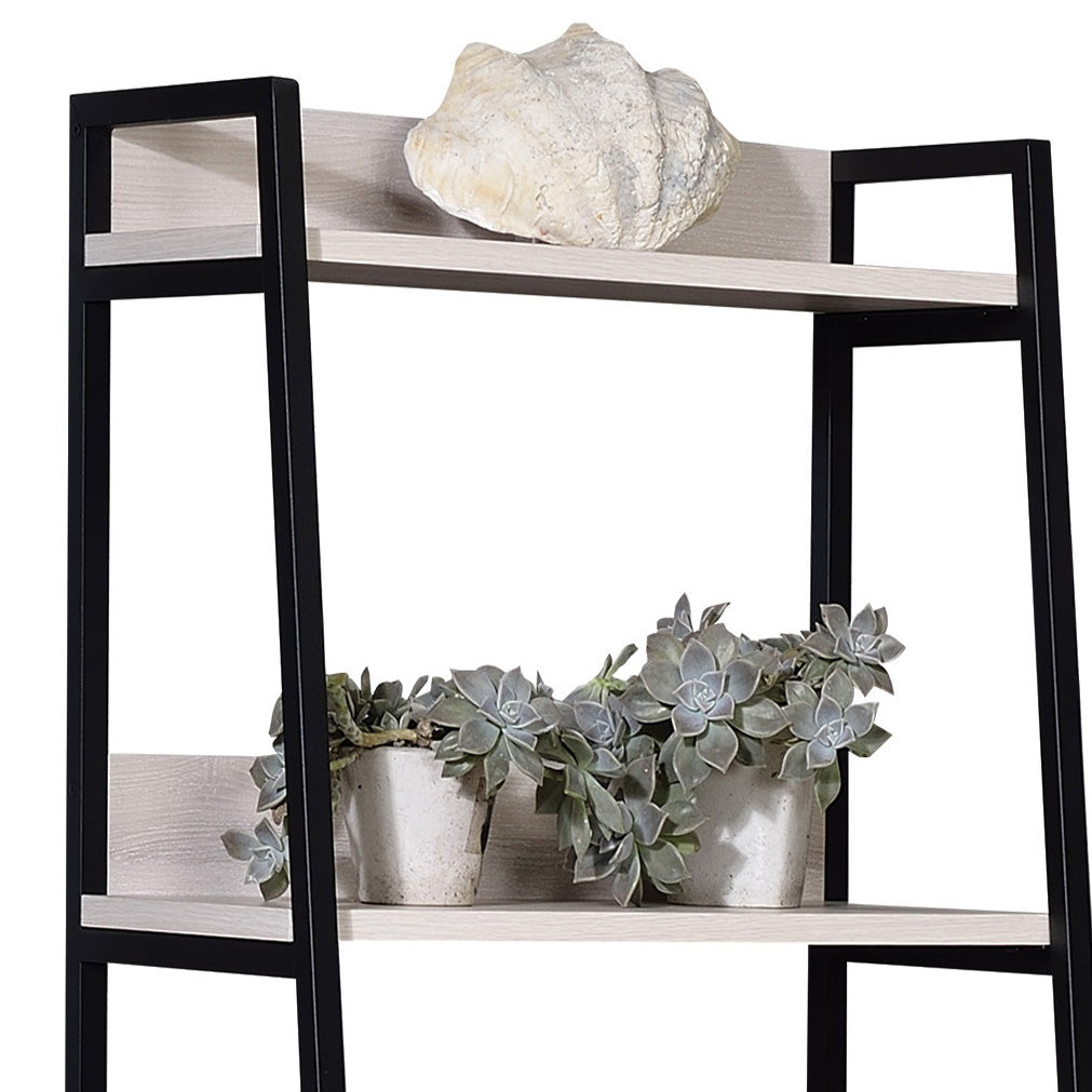 Black metal and light wood ladder shelf with seashell and succulents
