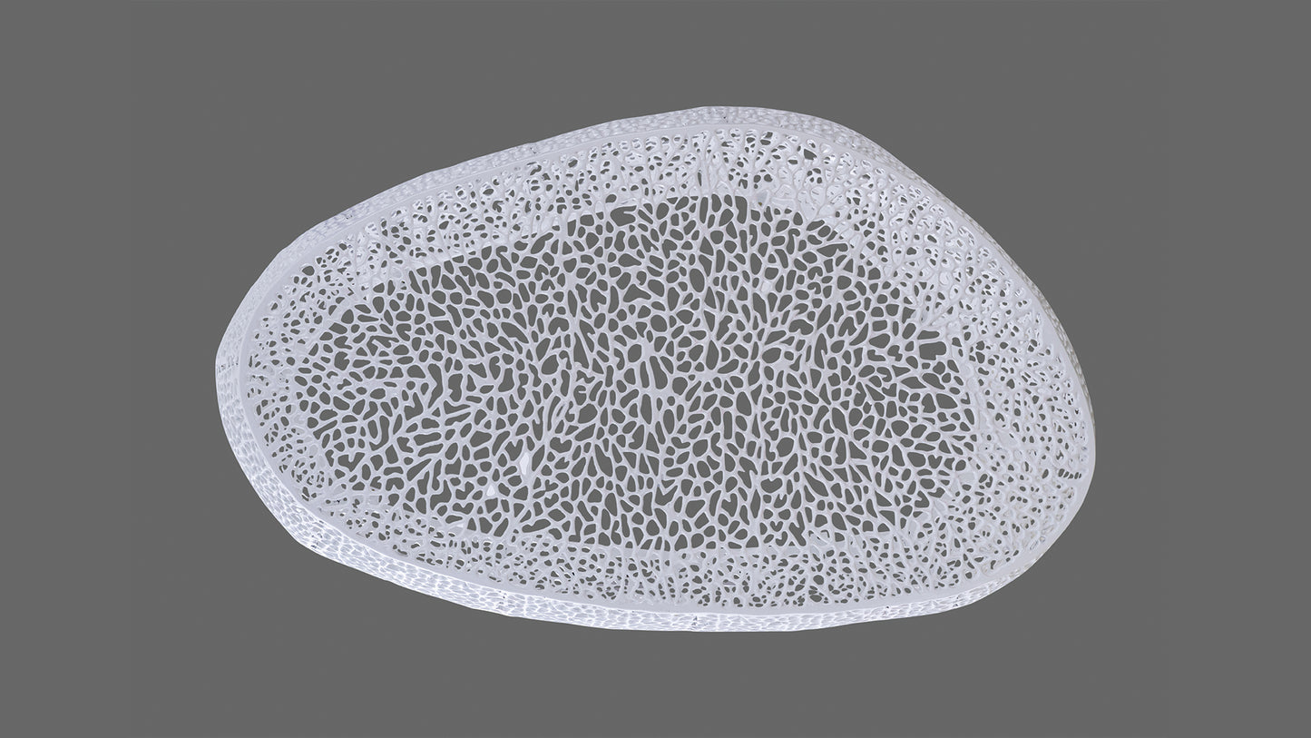 White abstract decorative bowl with intricate organic lacelike pattern D rendered design