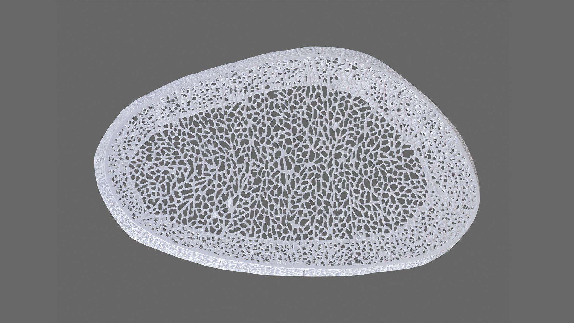 White abstract decorative bowl with intricate organic lacelike pattern D rendered design