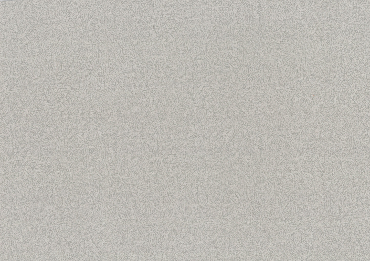 Light grey textured wallpaper with a subtle organic pattern perfect for modern interiors