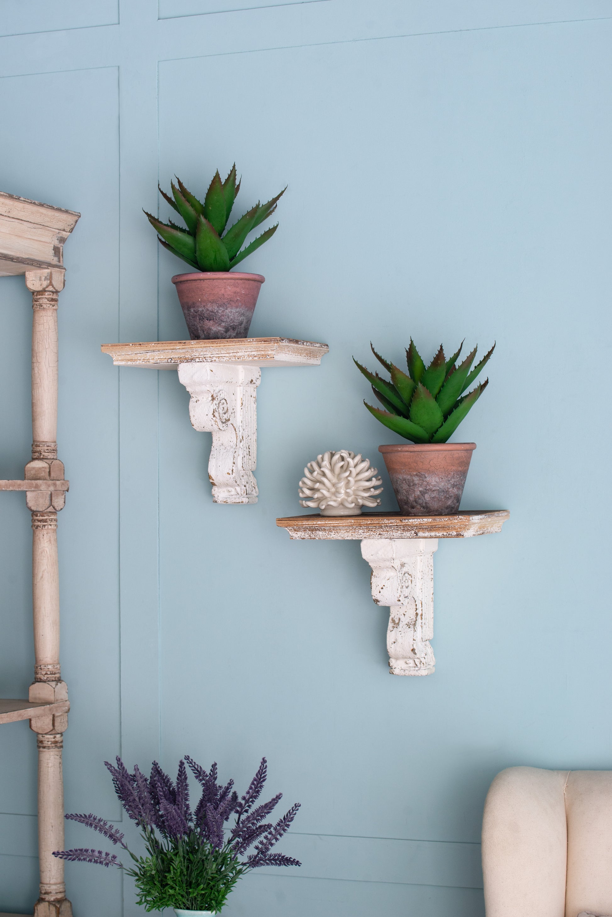 Distressed whitewash wall shelf with a potted green succulent plant and rustic pot