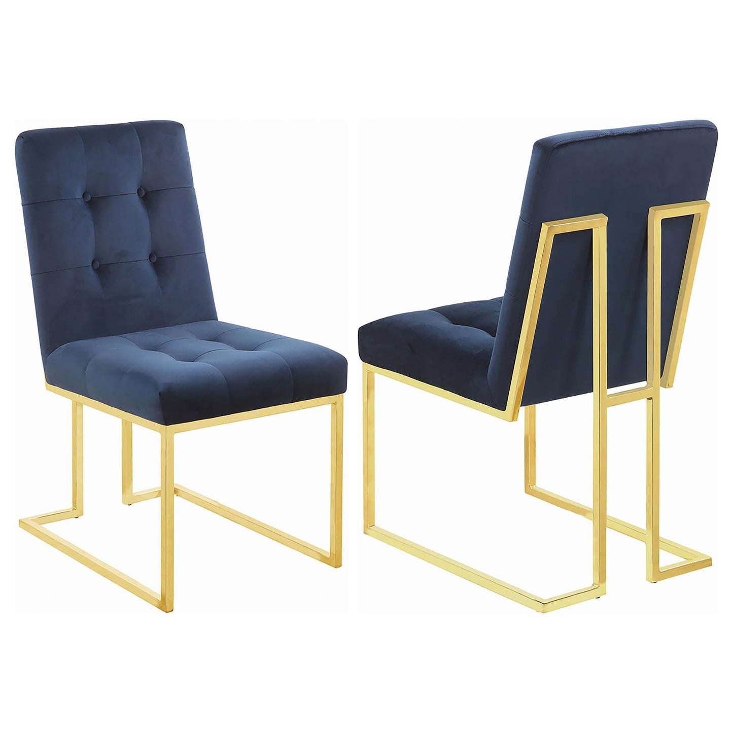 Deep navy velvet dining chair with tufted back and modern gold metal frame