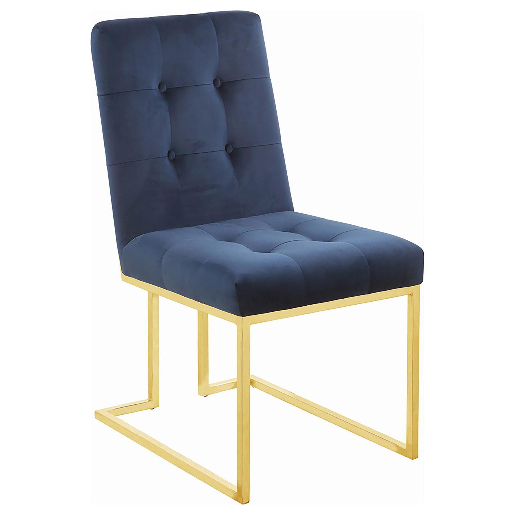 Navy velvet dining chair with gold metal frame and button tufted backrest