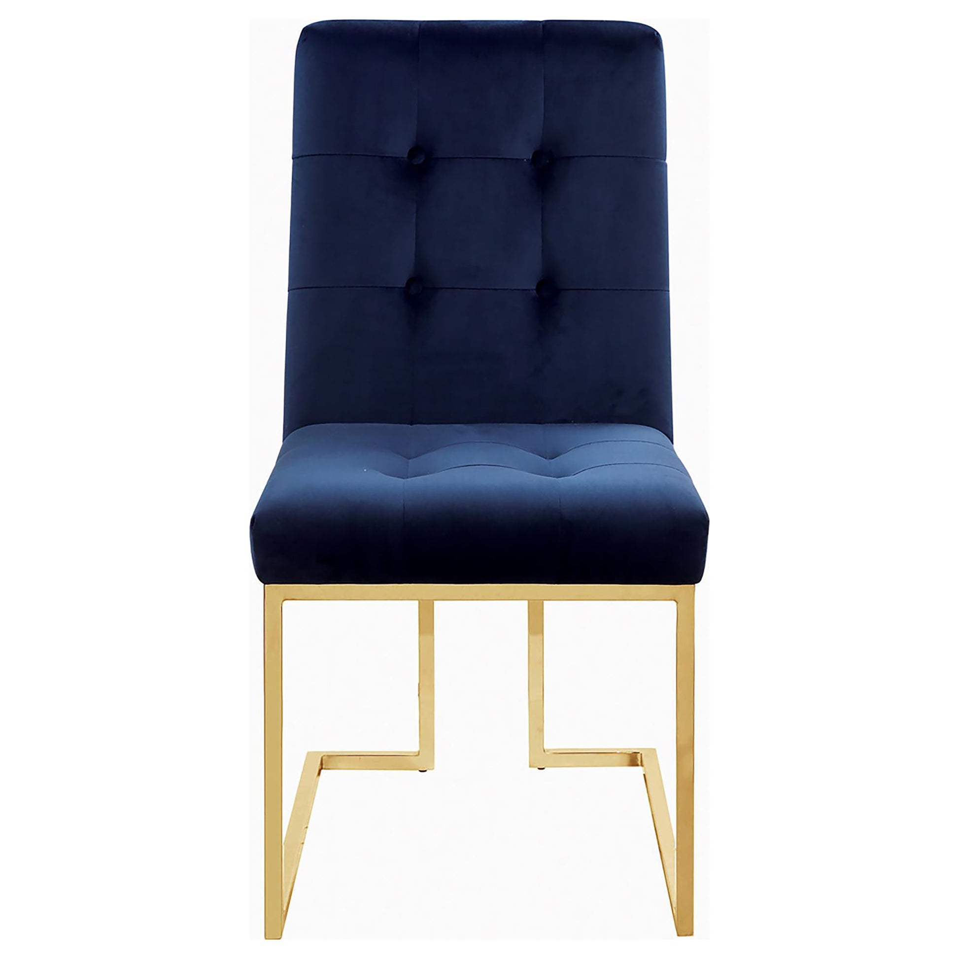 Tufted navy velvet dining chair with gold metal legs
