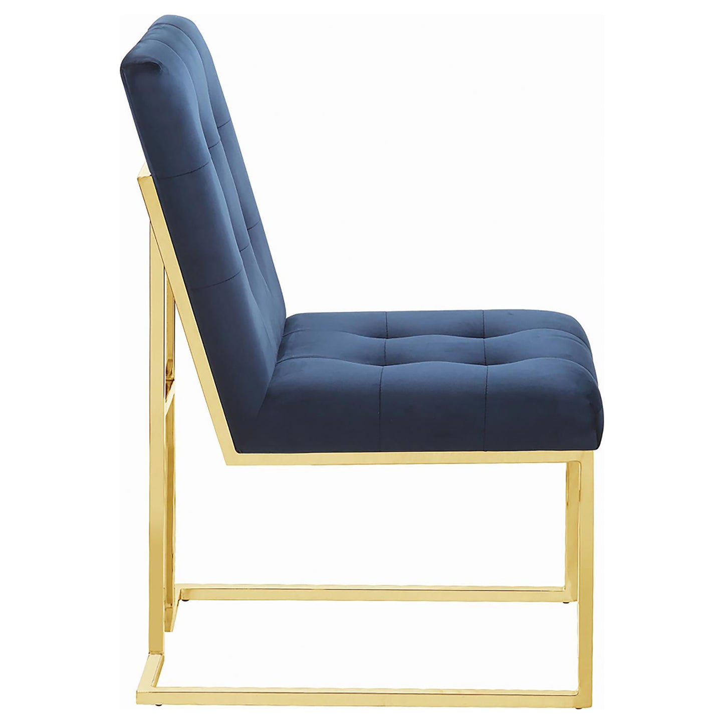 Deep navy velvet accent chair with tufted seat and gold metal frame