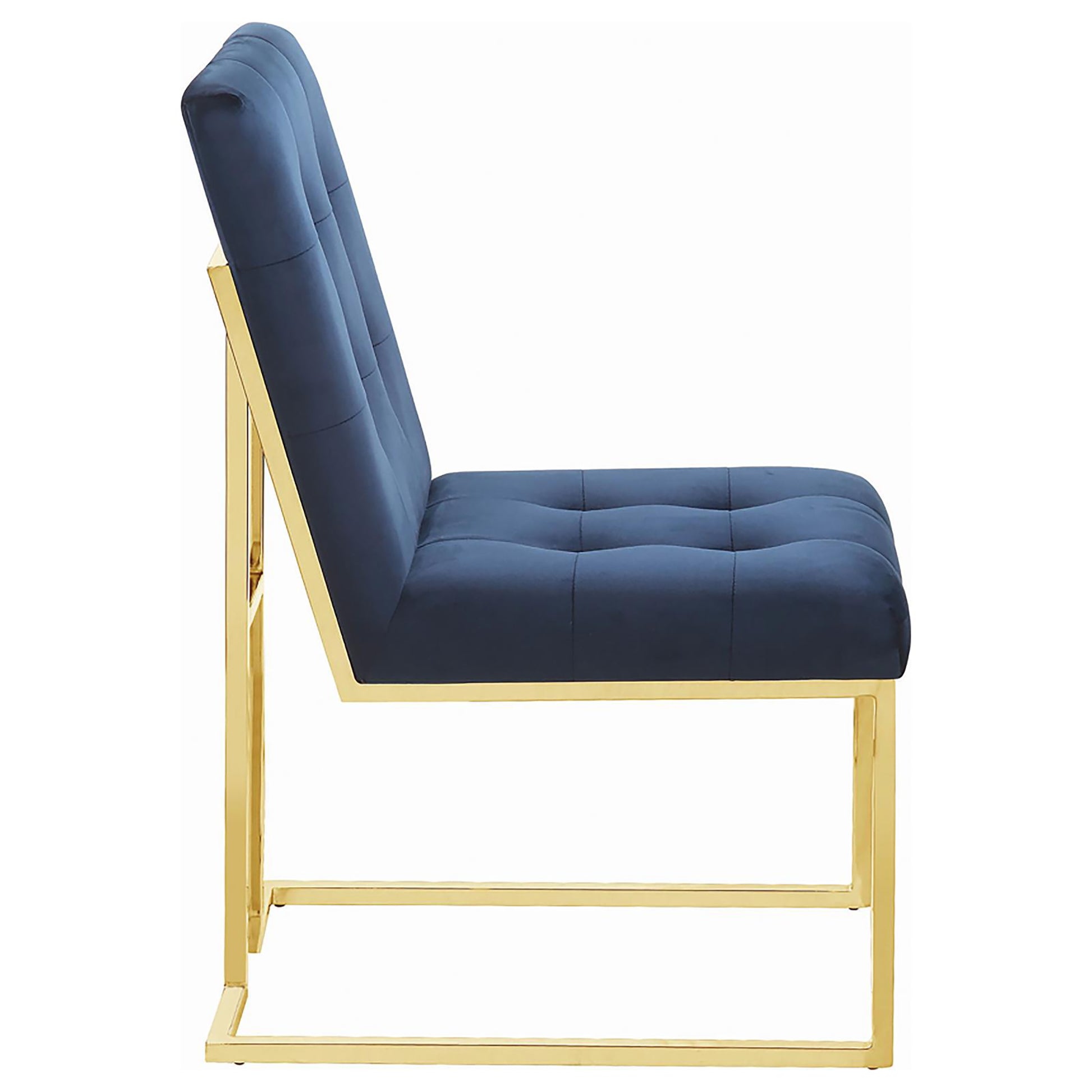 Deep navy velvet accent chair with tufted seat and gold metal frame