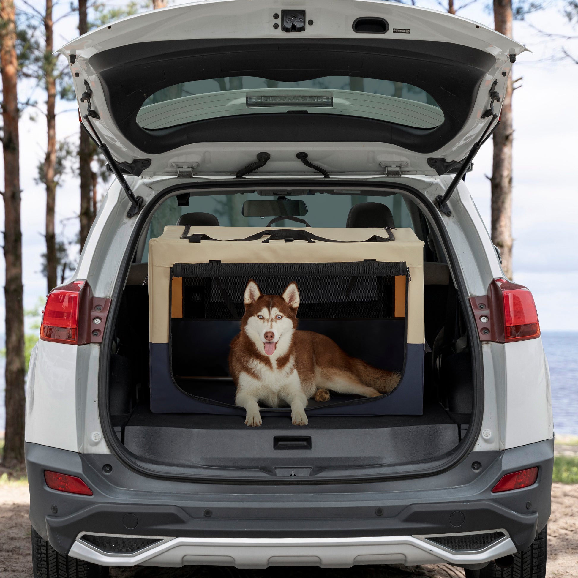 Brown and white husky dog lying inside a portable pet carrier in an open car trunk
