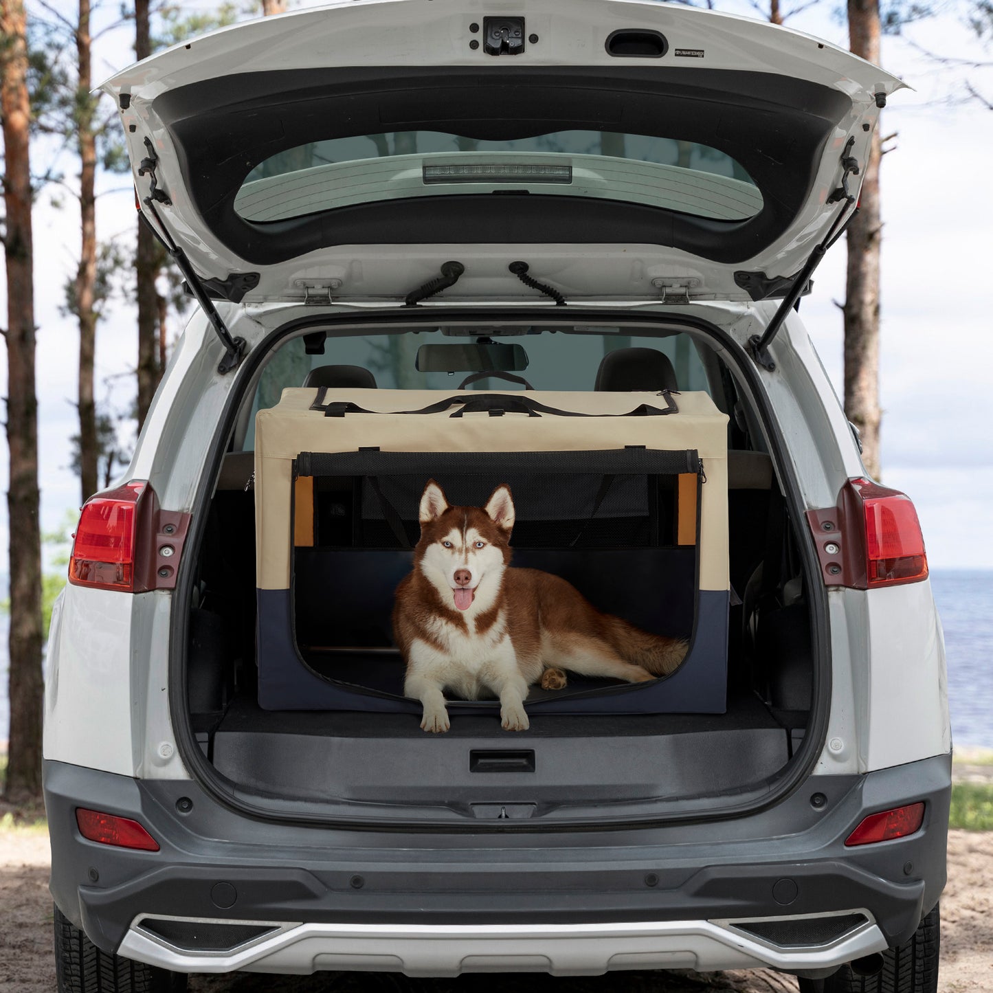 Blue and beige fabric dog crate with a husky inside ready for travel