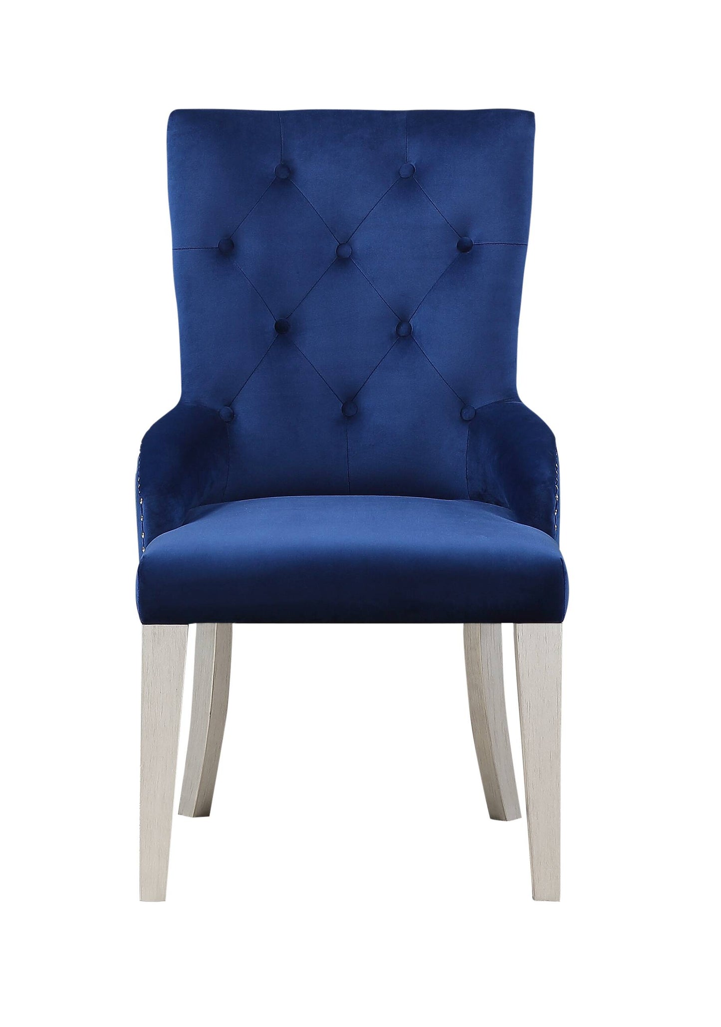 Deep blue velvet dining chair with tufted back and silver nailhead trim