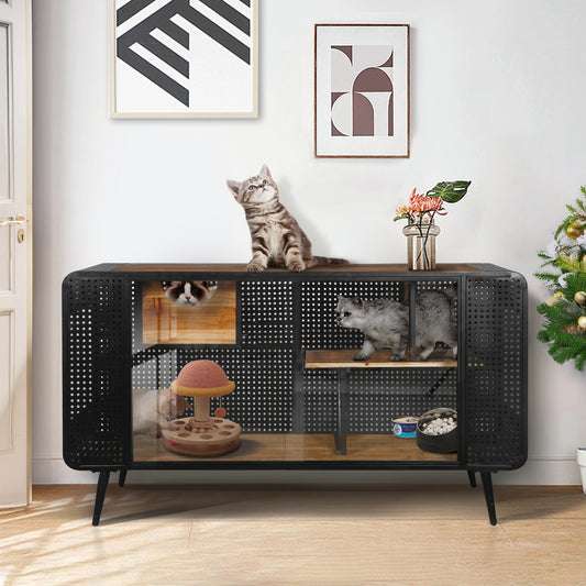 Modern black metal and wood cat condo featuring playful kittens exploring multiple levels and toys