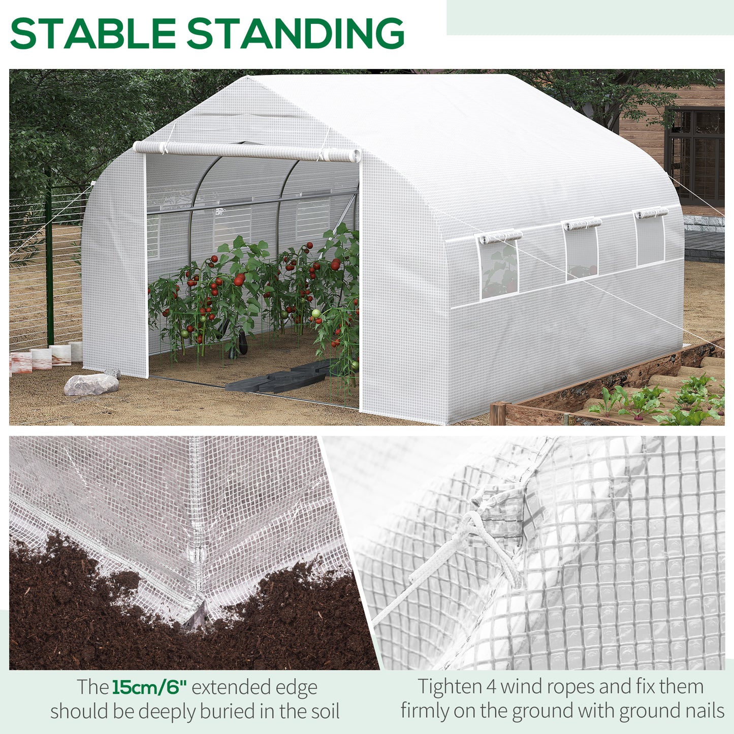 White portable greenhouse with steel frame tomato plants and rollup door