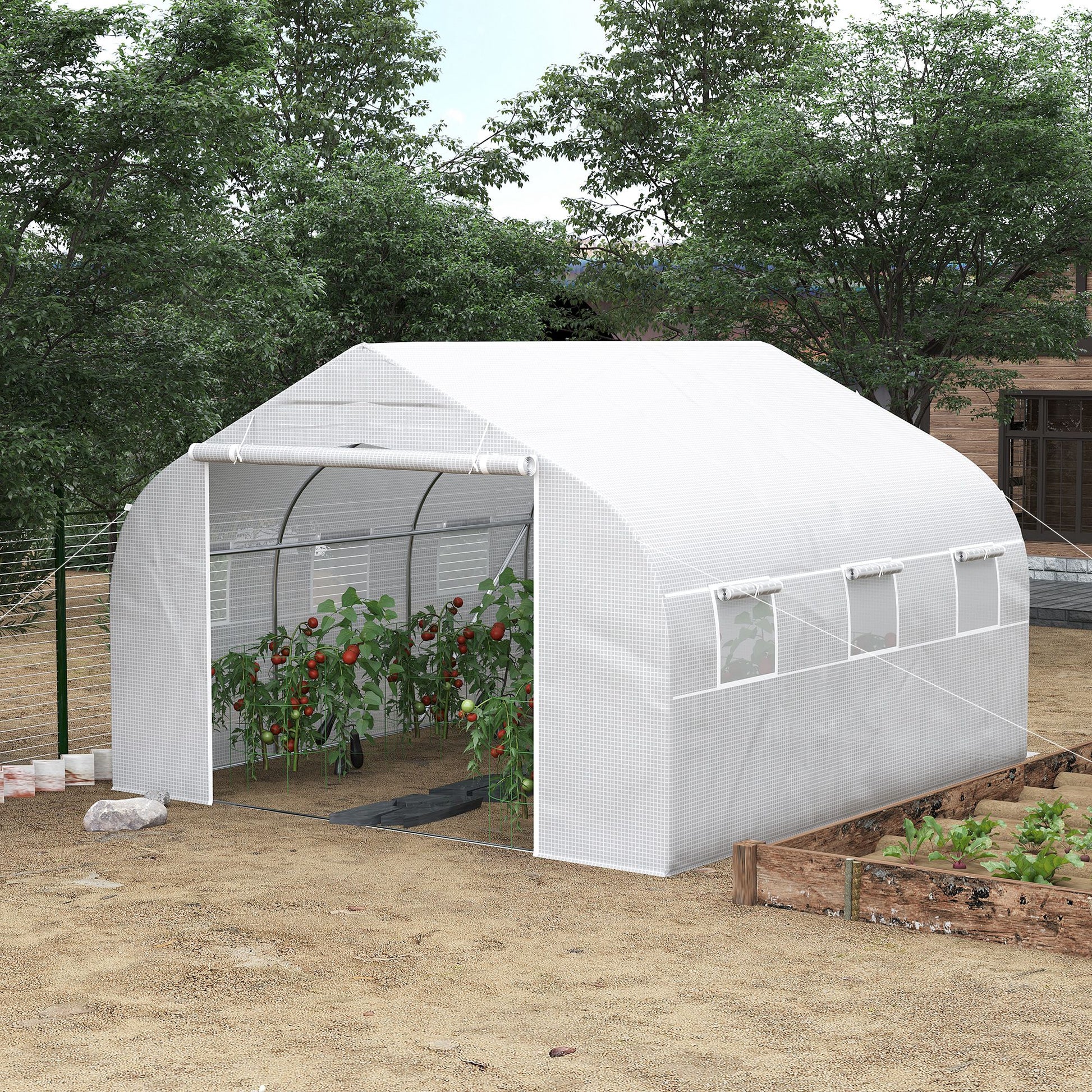 Durable white polyethylene hoop greenhouse with tomato plants growing inside