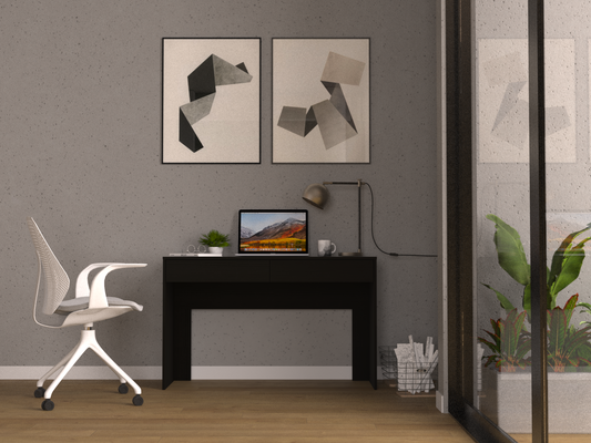Modern black console desk with laptop lamp and plant