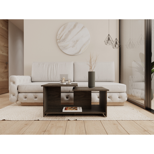 Dark wood modern coffee table set with open shelving featuring two nesting tables