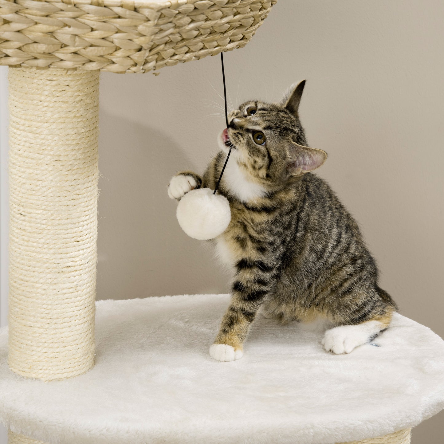 Tabby kitten plays with a plush white ball on a multilevel cat tree