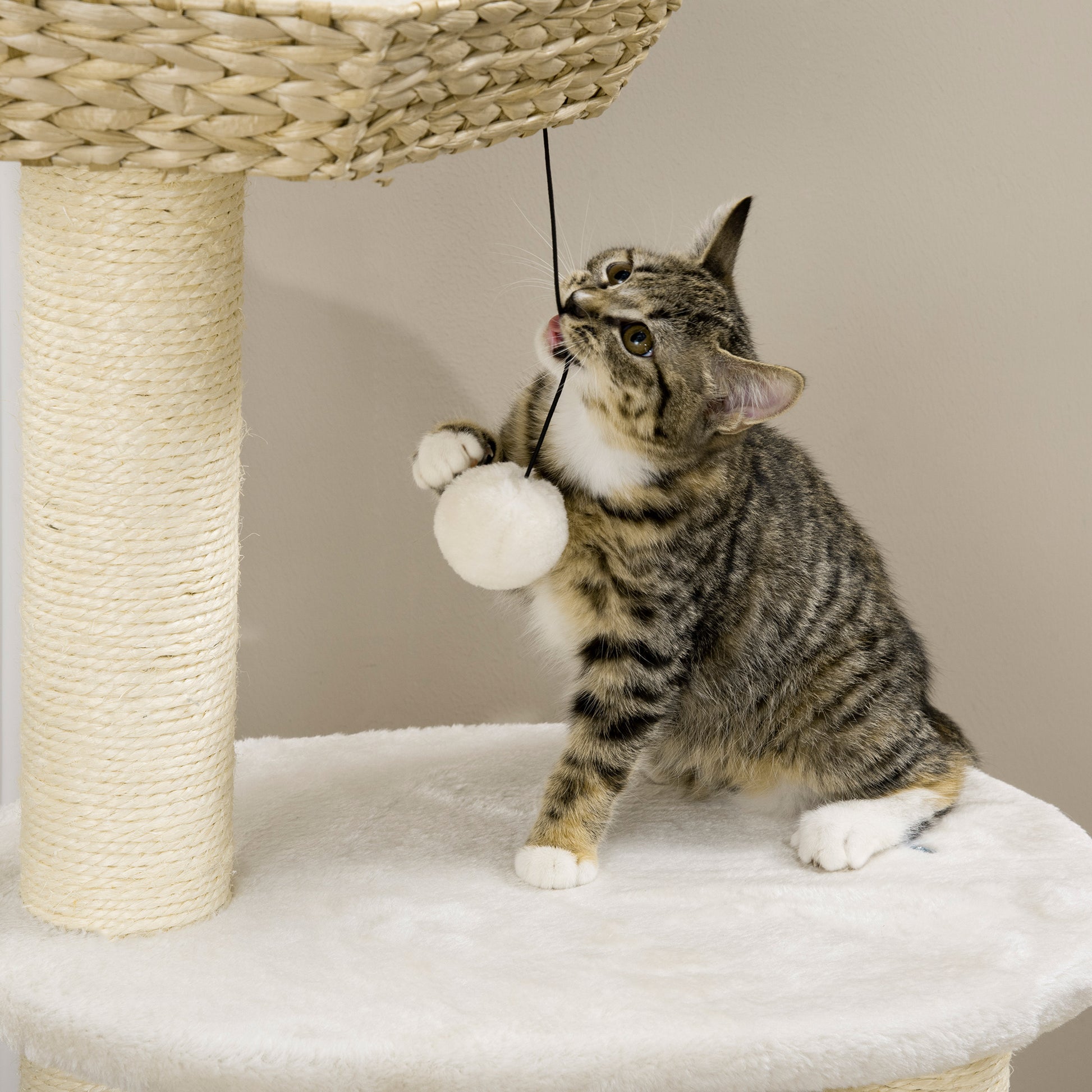 Tabby kitten plays with a plush white ball on a multilevel cat tree
