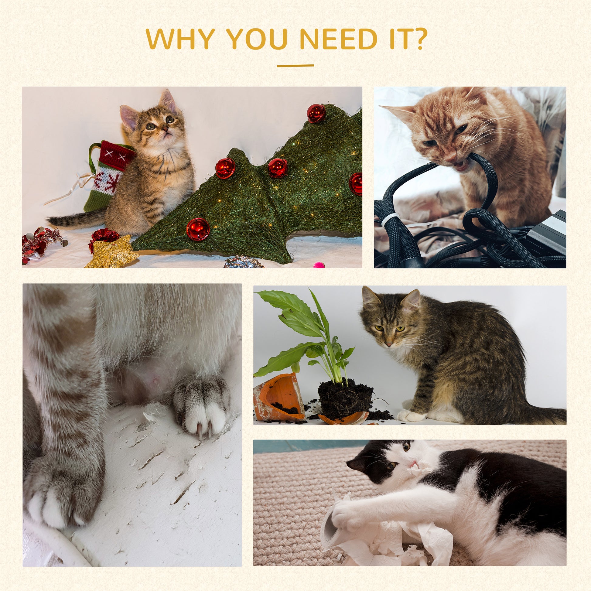 Tabby kitten with festive Christmas stocking and tree symbolizing holiday pet joy