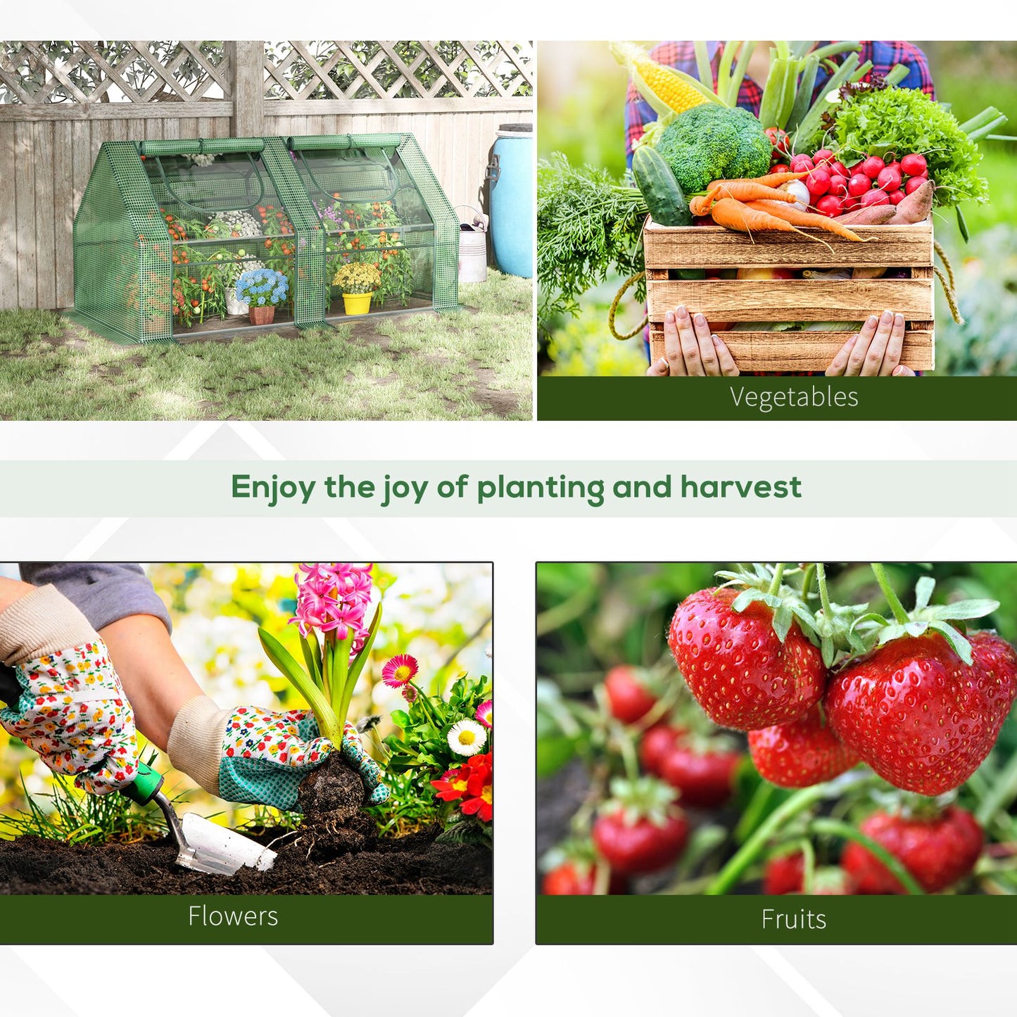 Green walkin greenhouse with tomato plants and potted flowers