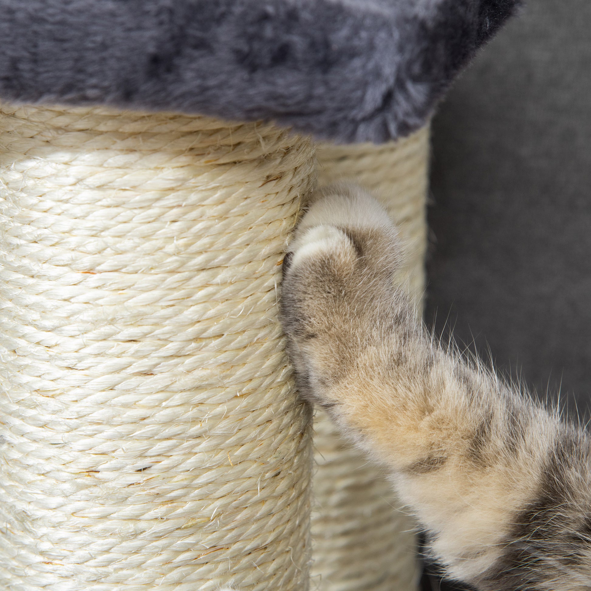 A cats paw is scratching a natural sisal rope scratching post designed for feline entertainment