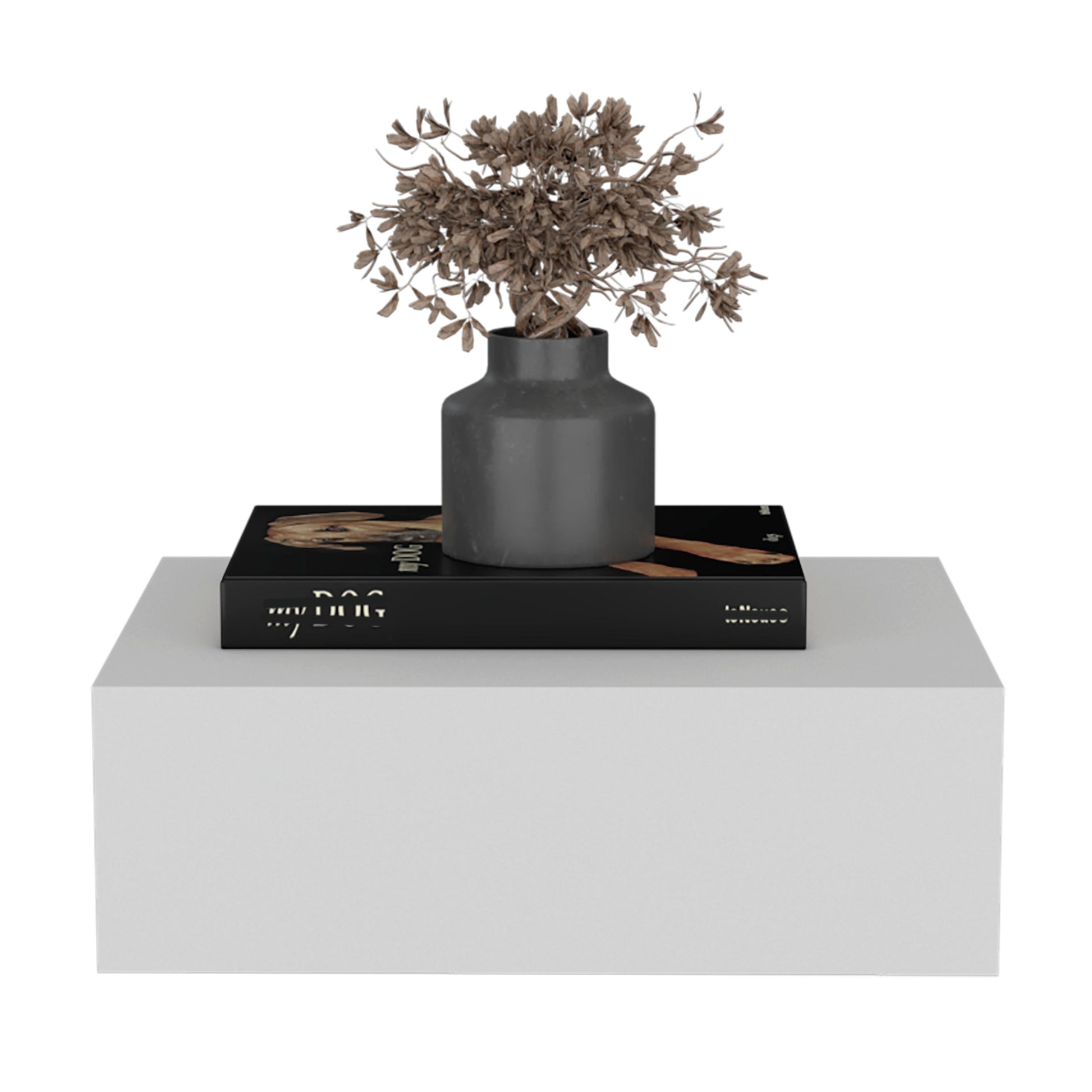 Dark grey minimalist vase with dried eucalyptus branches part of modern home decor
