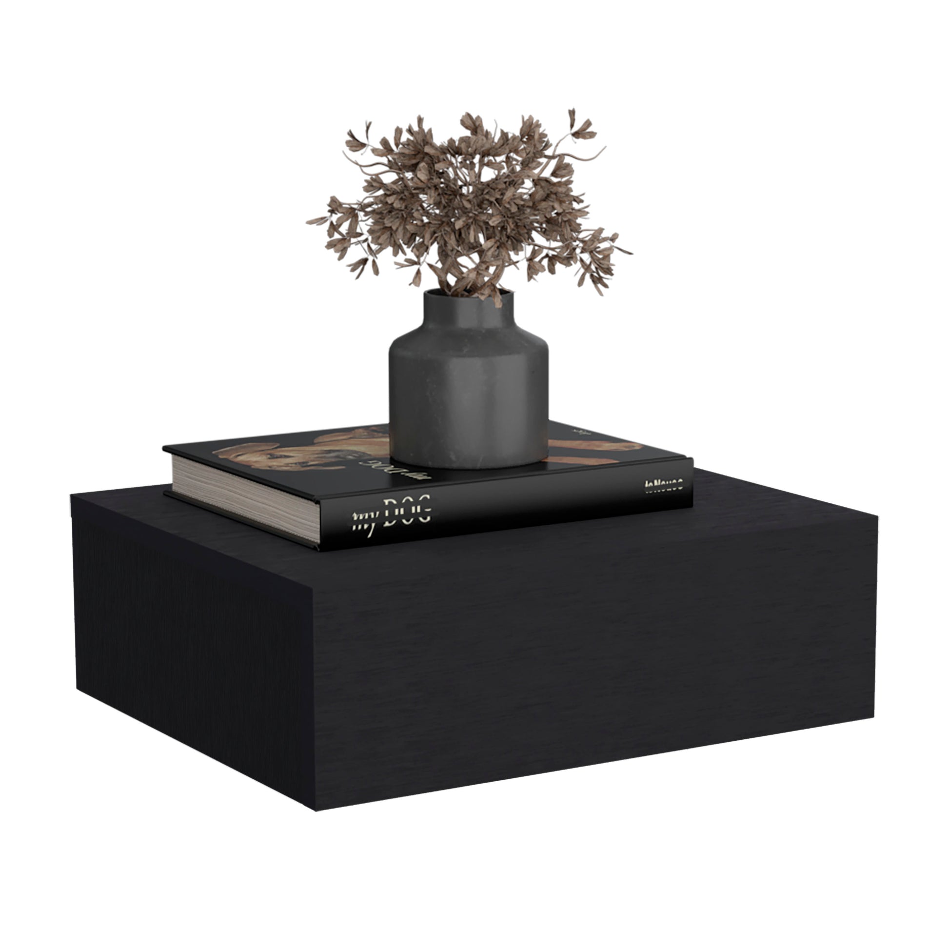 Black textured floating shelf with my DOG book and dried floral arrangement