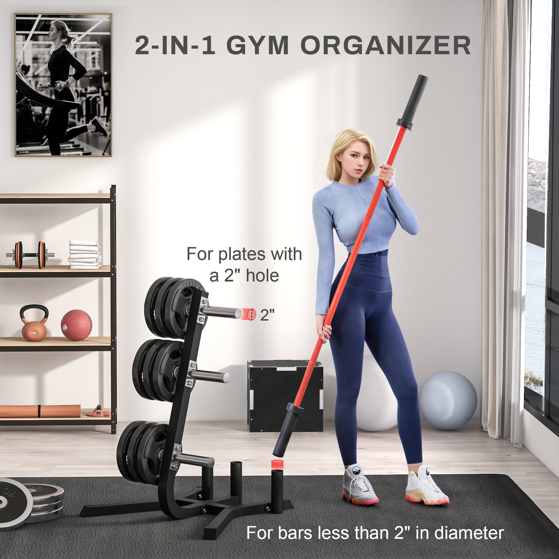 Black steel in gym organizer rack holding weight plates and bars
