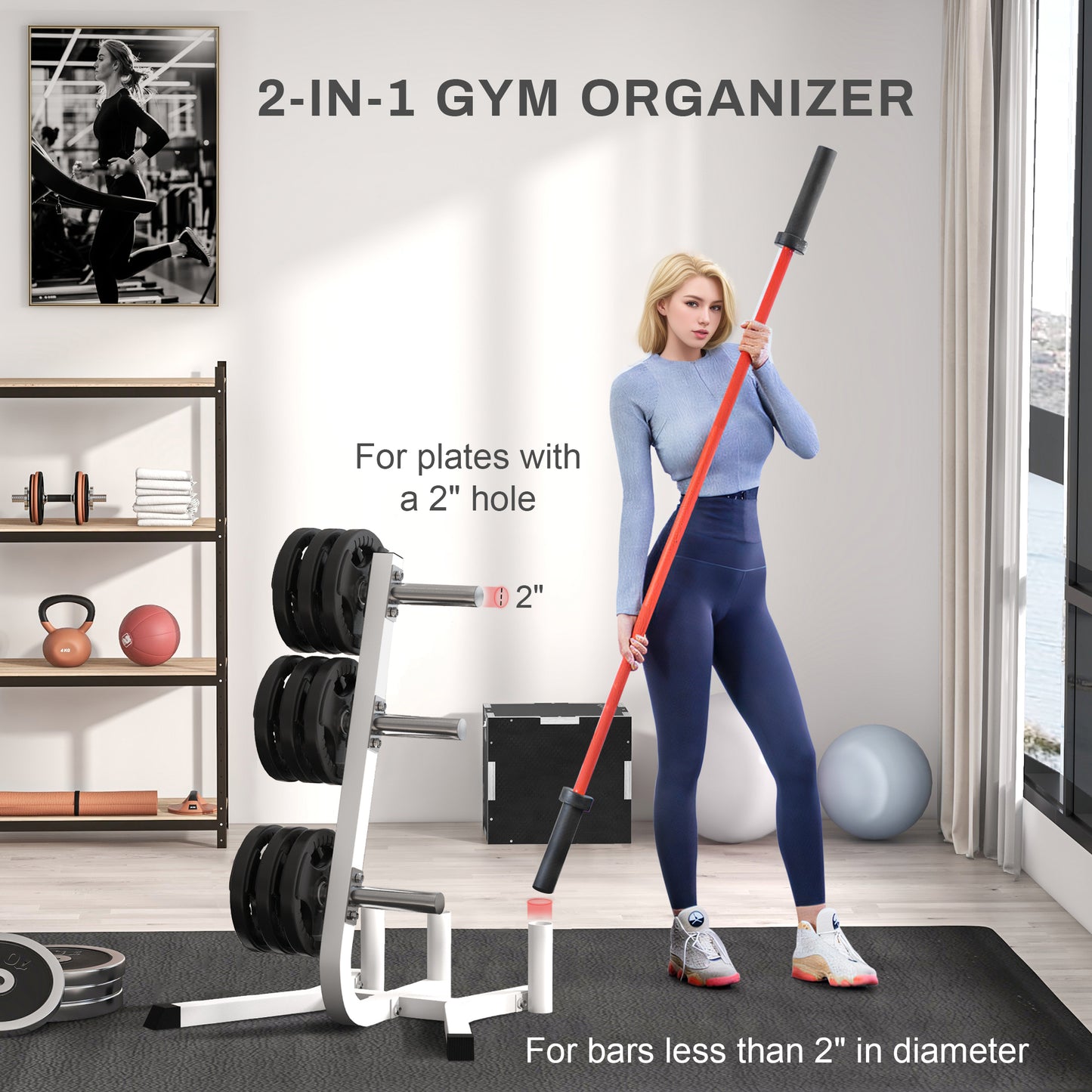 White weight plate organizer with stacked black plates ready for gym use