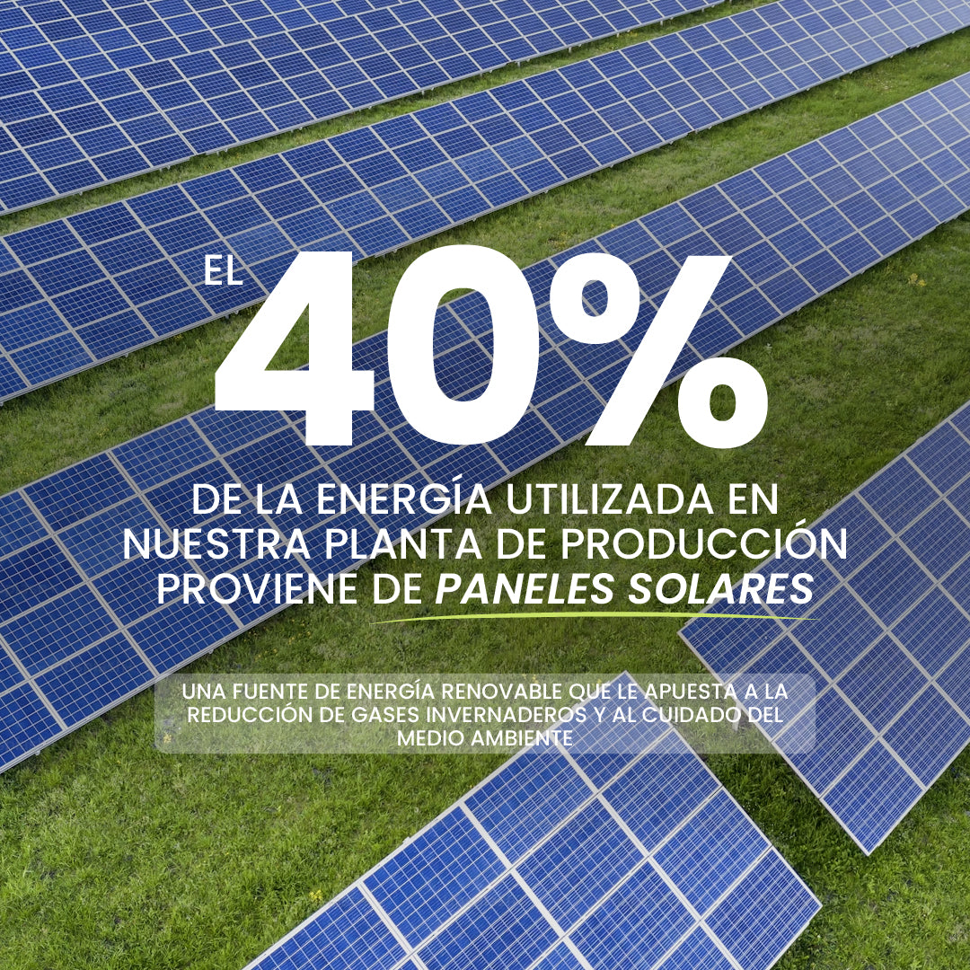 Rows of blue solar panels covering a grassy field