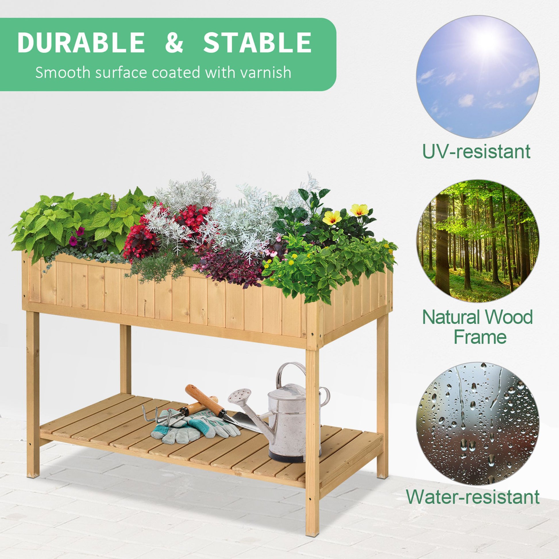 Natural wood raised garden bed with diverse plants and gardening tools on shelf