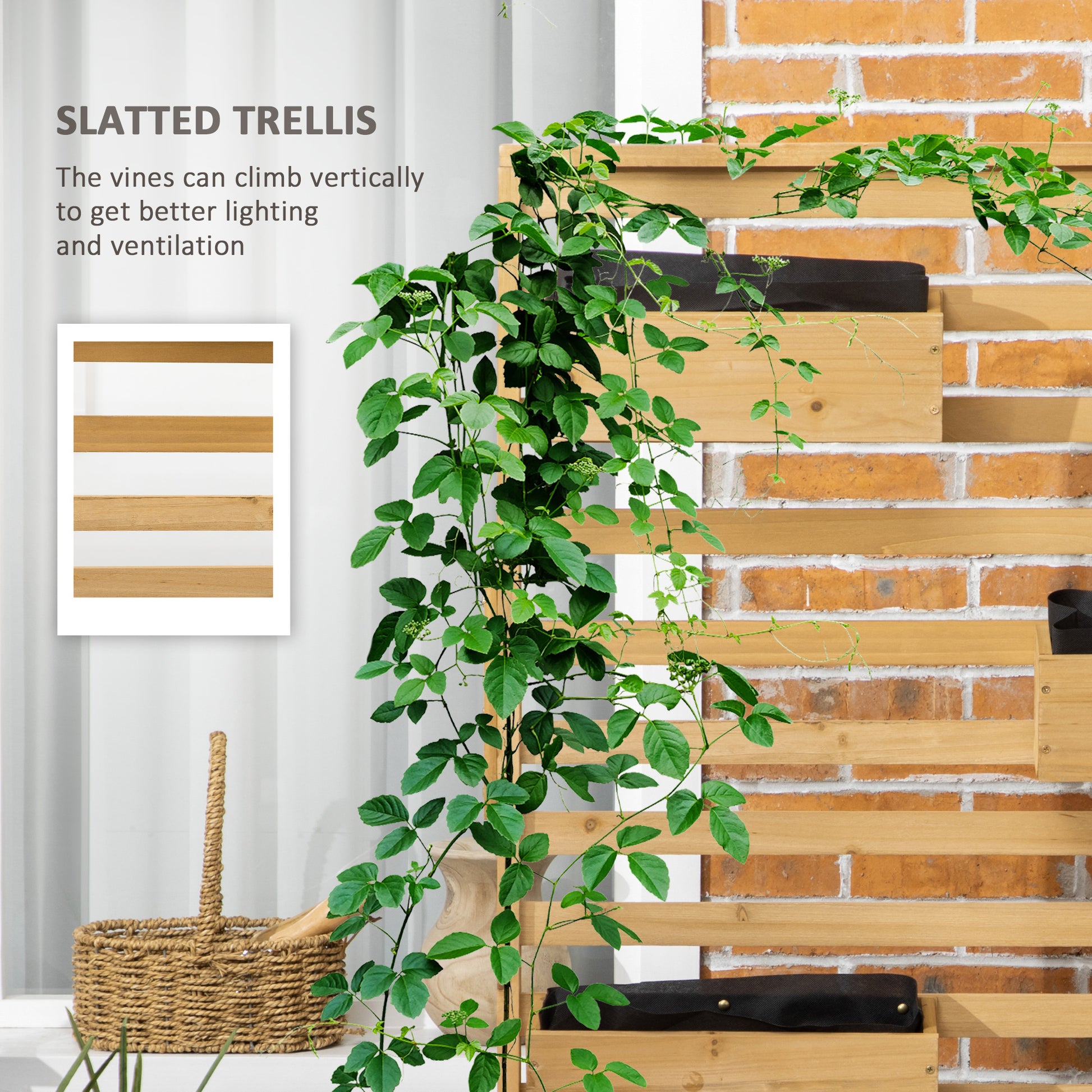Natural wood slatted trellis with climbing green vine ideal for vertical gardening