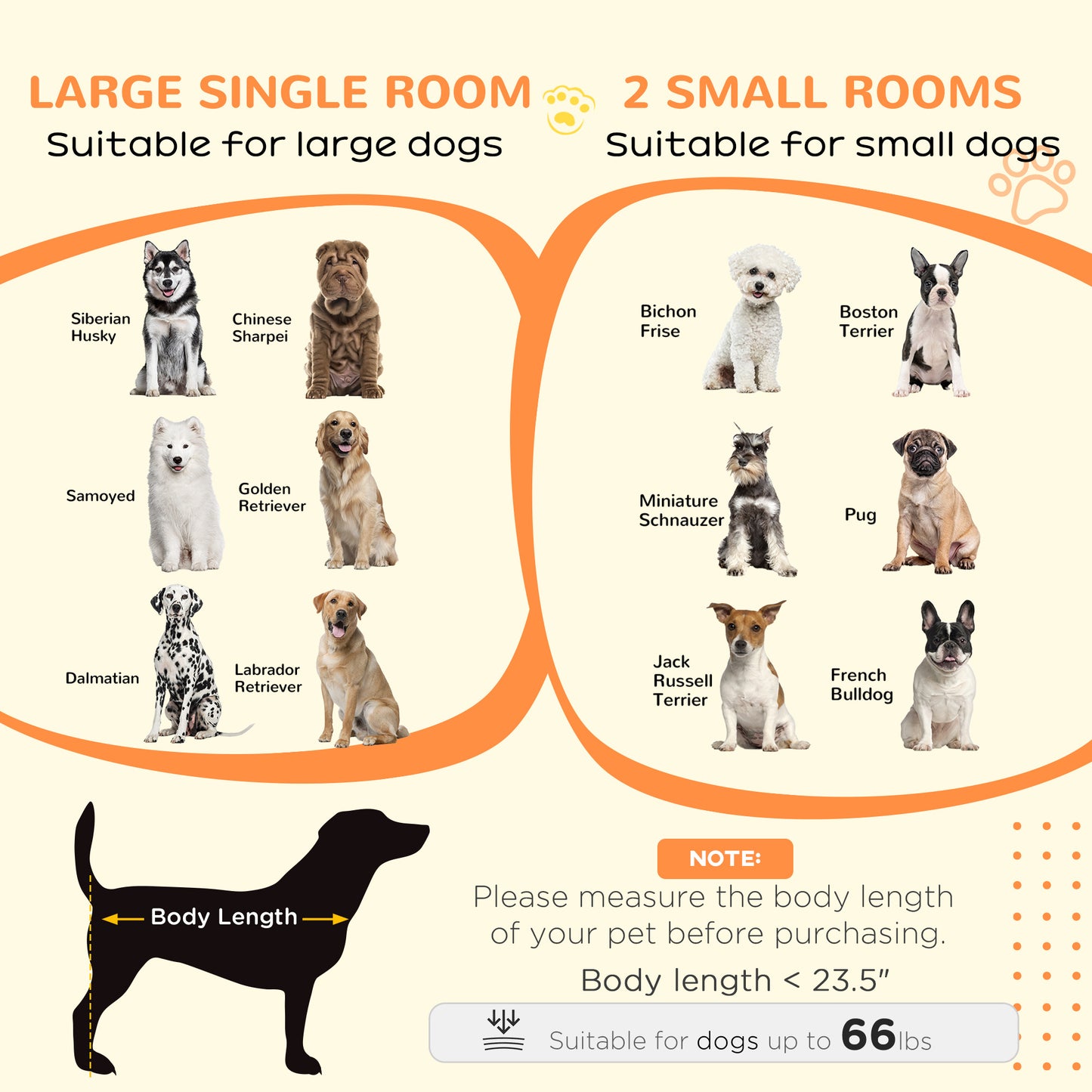 Siberian Husky sitting alertly suitable for large single rooms