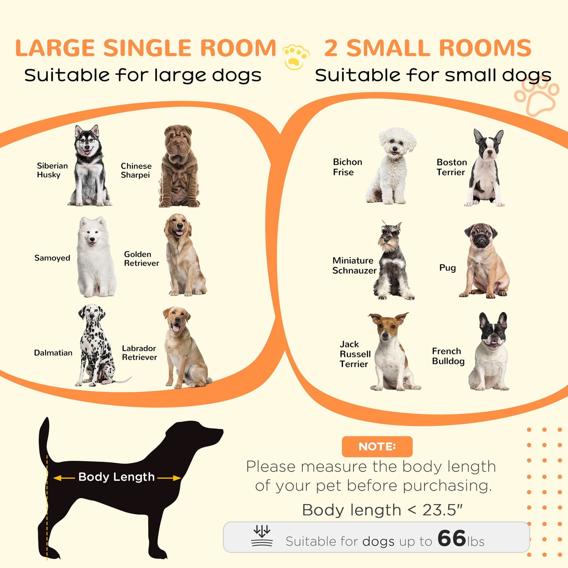Siberian Husky sitting alertly suitable for large single rooms