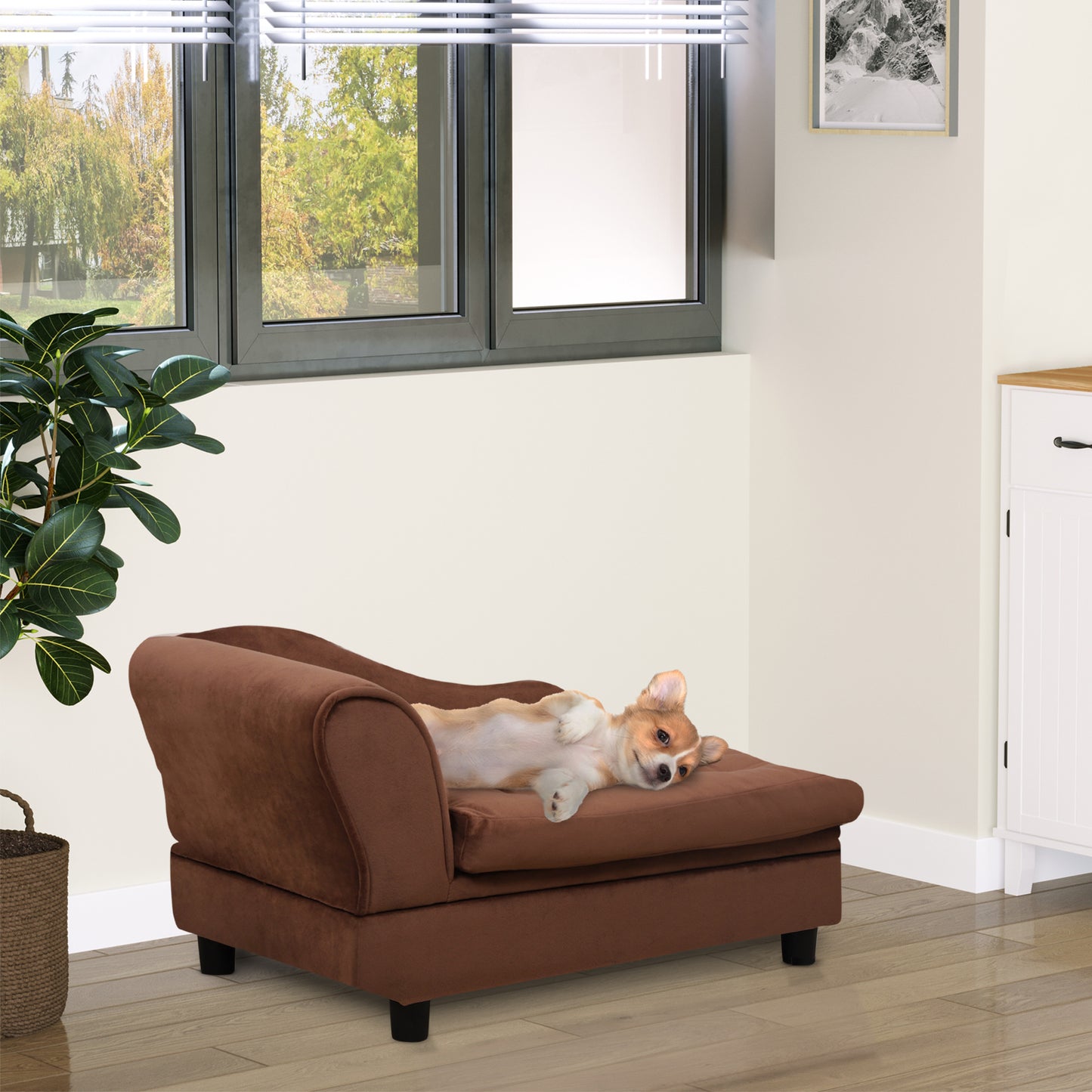 Plush brown velvet dog sofa with rolled arms perfect for small pets seeking comfort