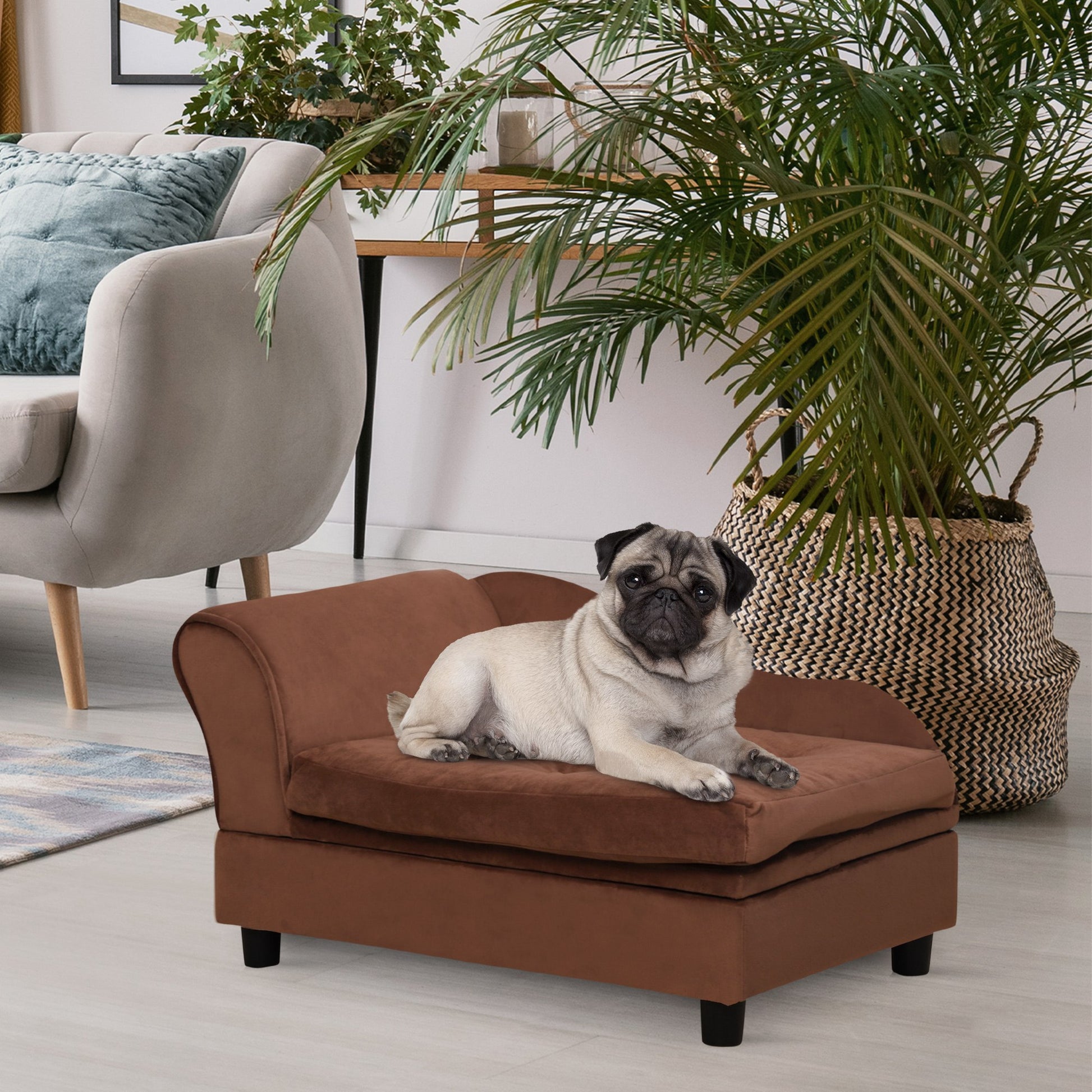 Brown velvet pet sofa with a pug resting comfortably perfect for small dog furniture