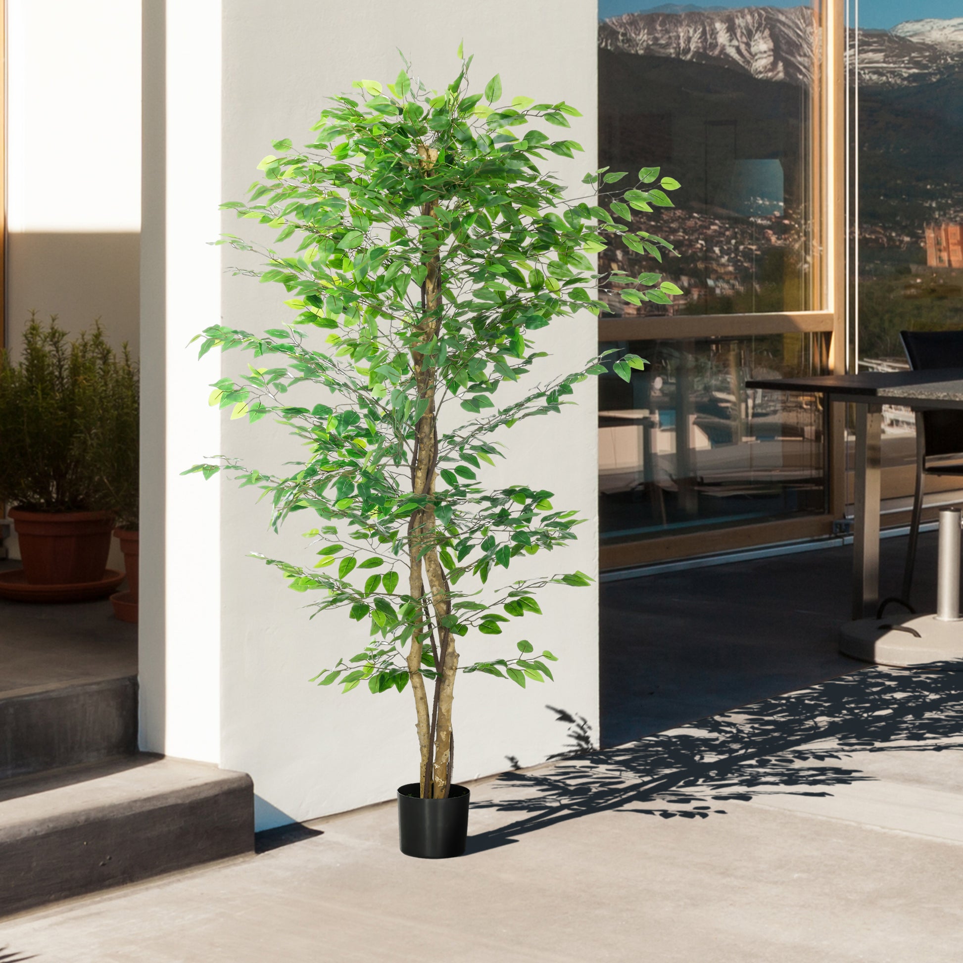 Tall artificial ficus tree with green leaves in a black planter perfect for home decor