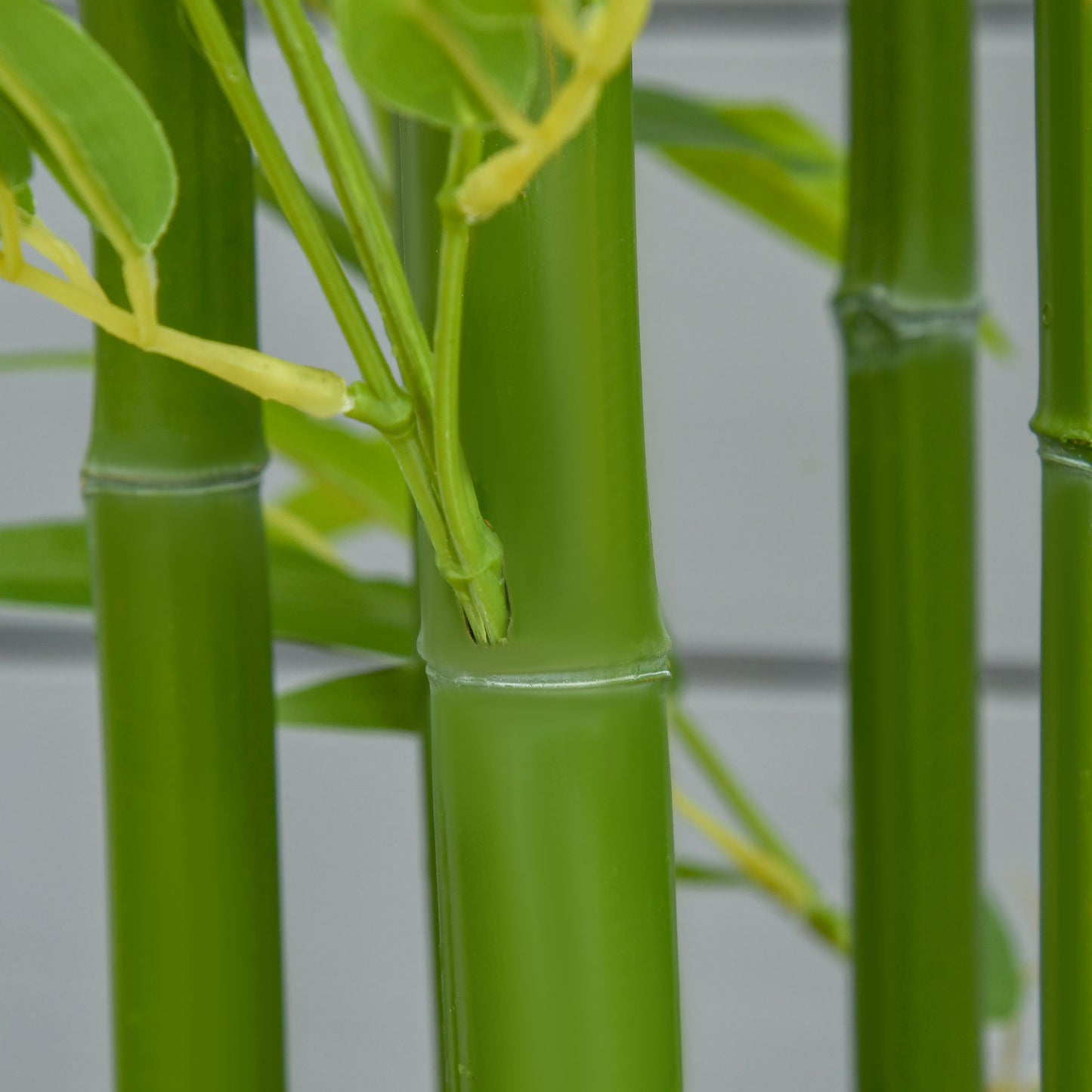 Closeup of bright green bamboo stalks with subtle texture ideal for zen decor
