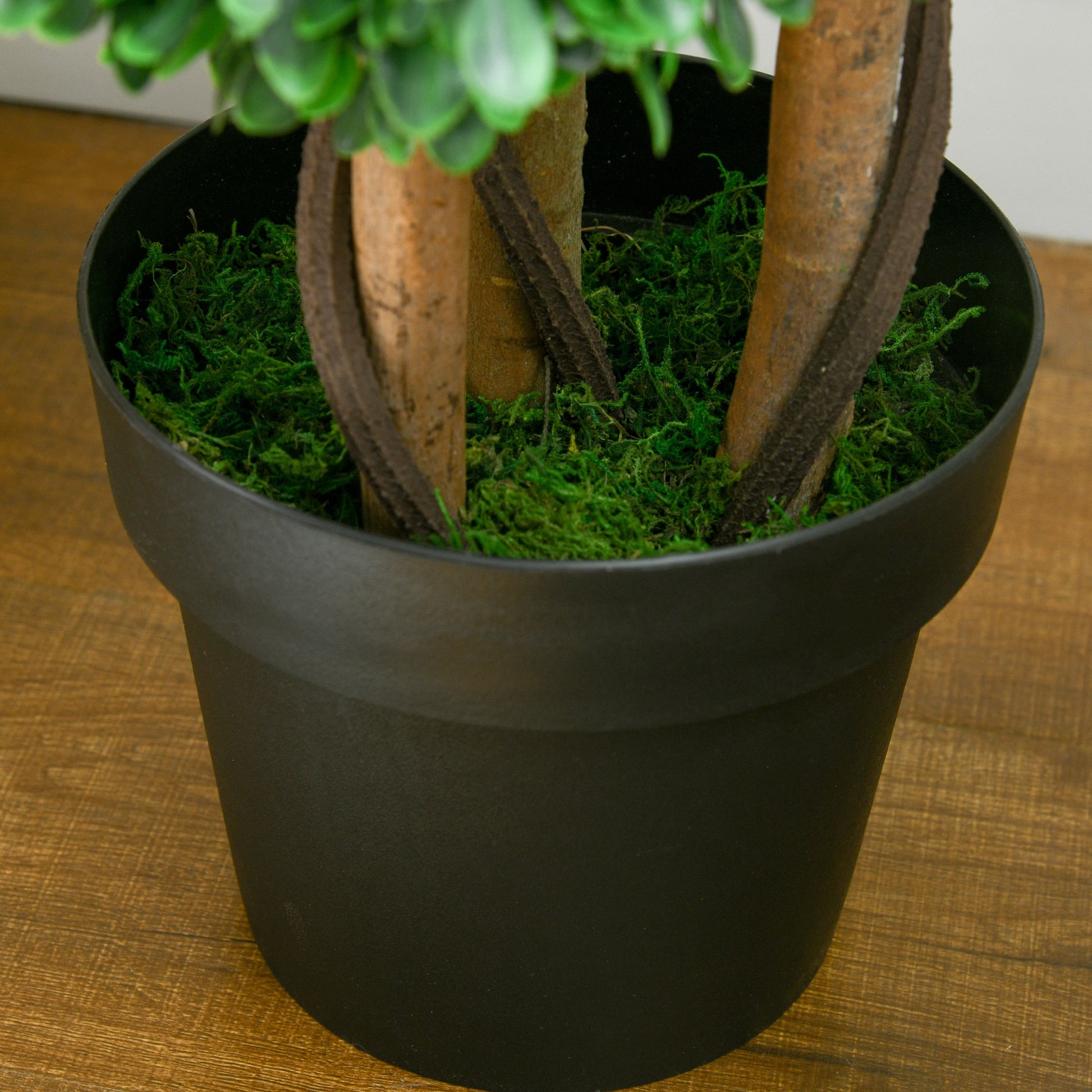 Realistic faux boxwood plant in a black pot featuring textured artificial moss Faux boxwood