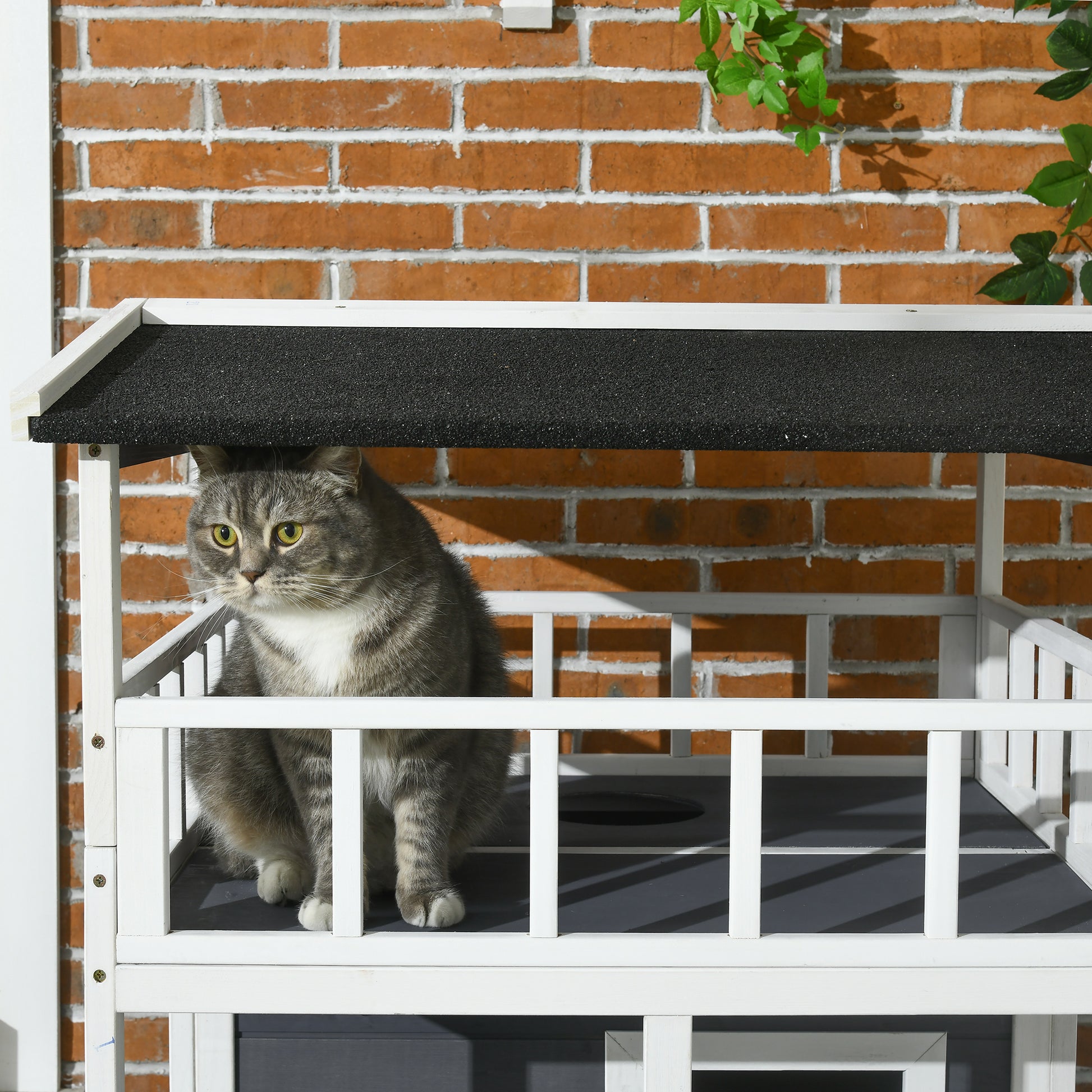 A gray tabby cat with bright green eyes sits on a white wooden cat condo shelf