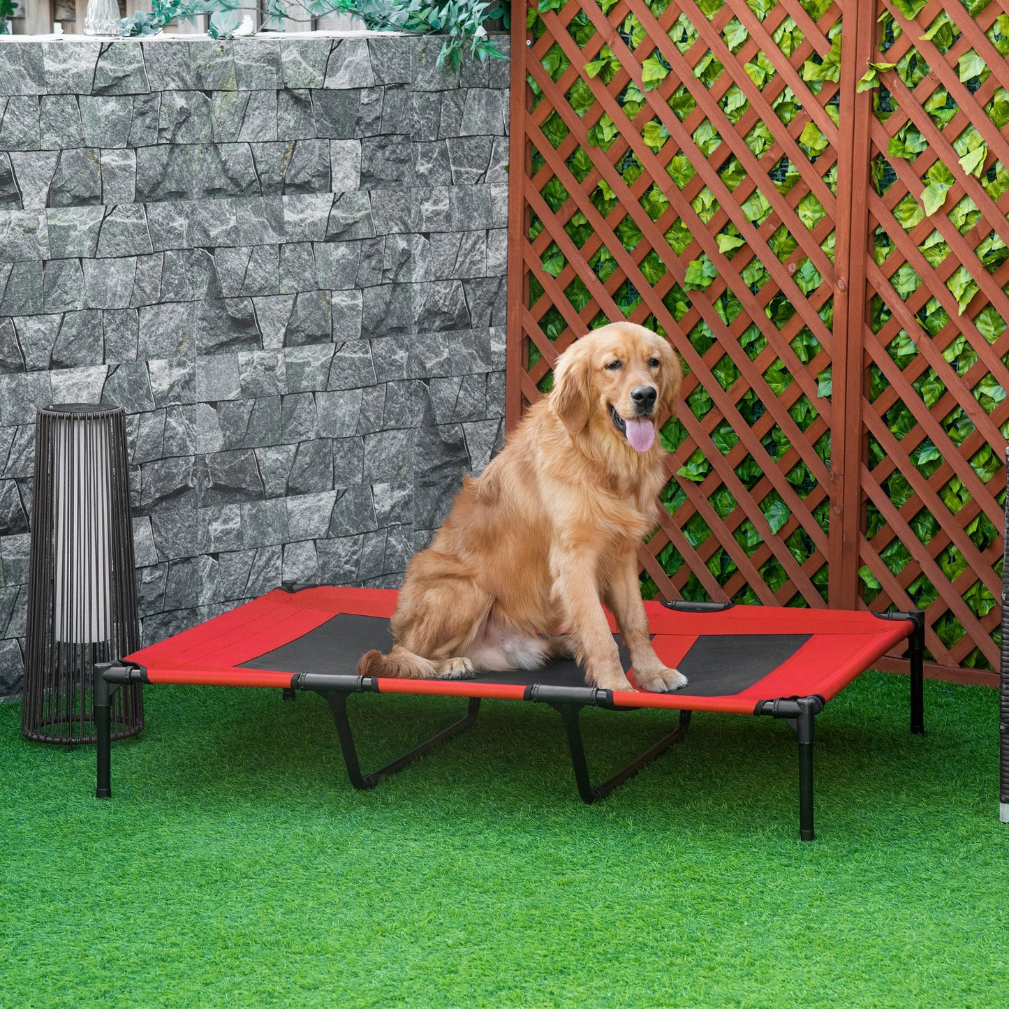 Golden retriever dog resting on a red and black elevated dog bed outdoors