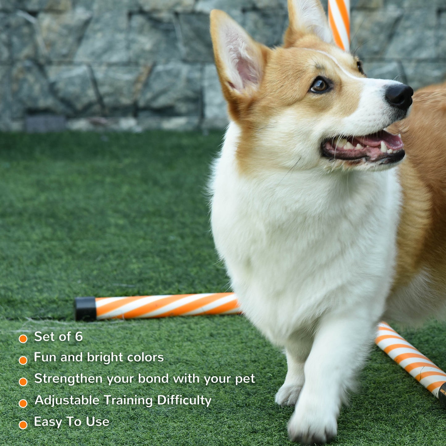Orange and white striped dog agility poles set for training