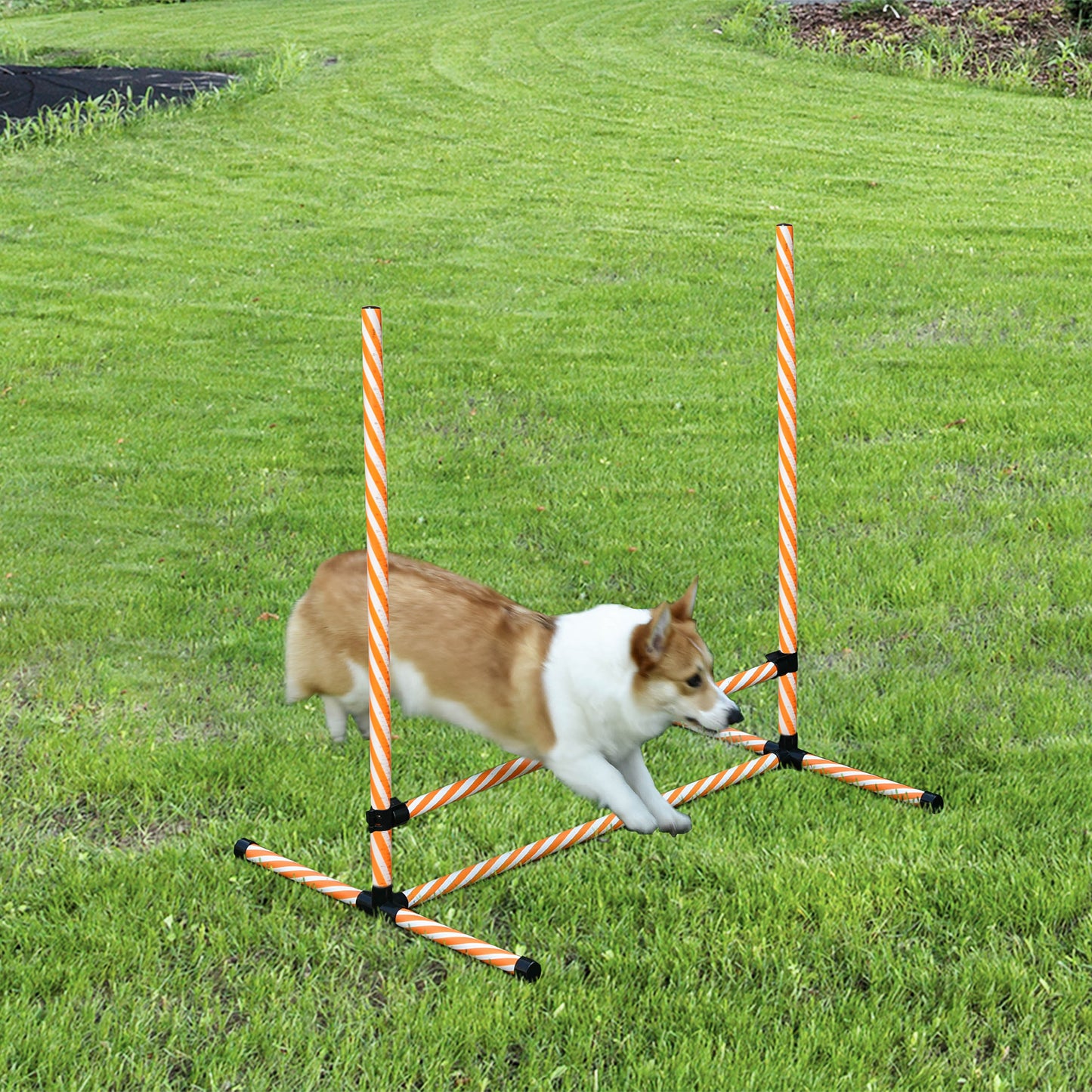 Orange and white striped dog agility jump bar set outdoors